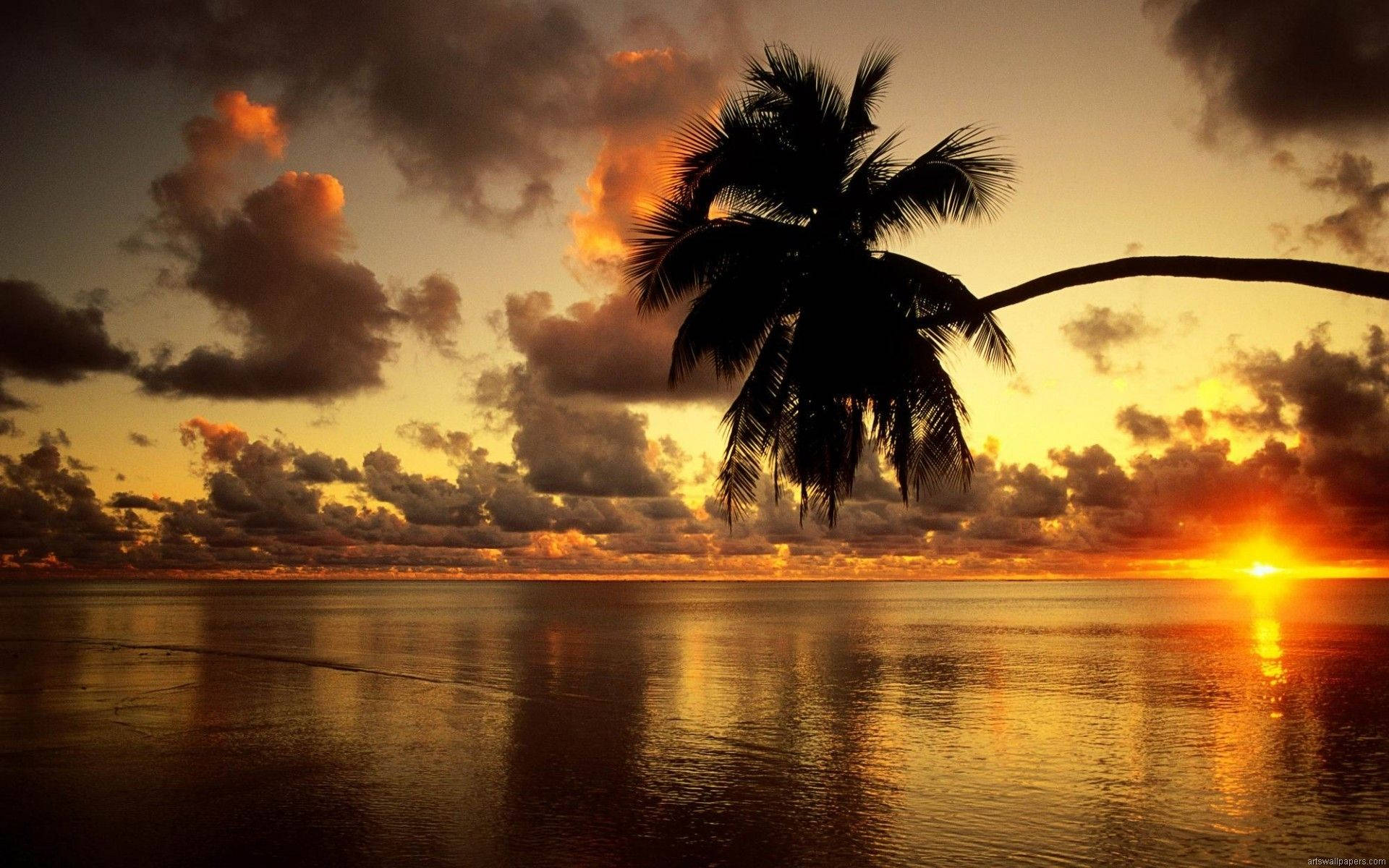 Strand Sonsondergang Op Vol HD Rekenaarlessenaar Muurpapier