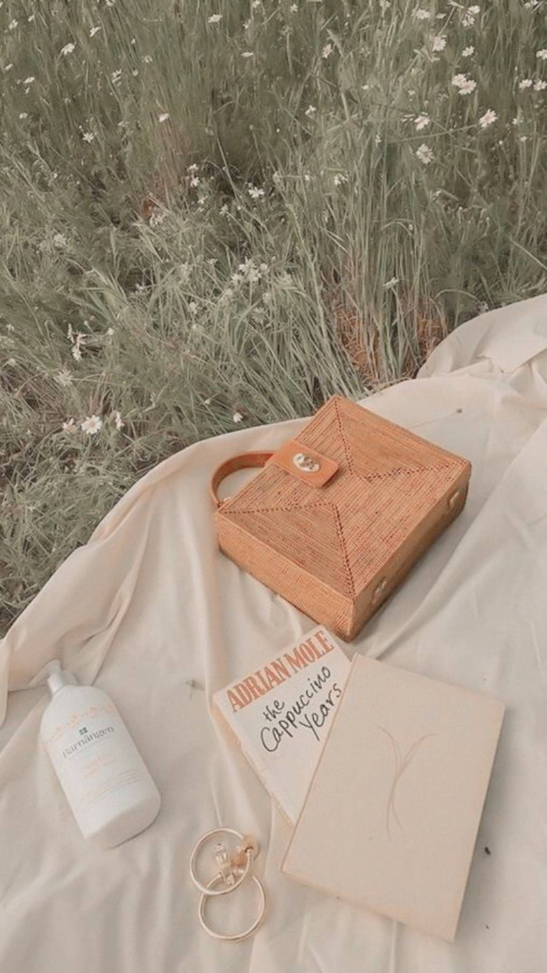 Subtiele Elegansie - Beige Estetiese Sak en Boek Muurpapier