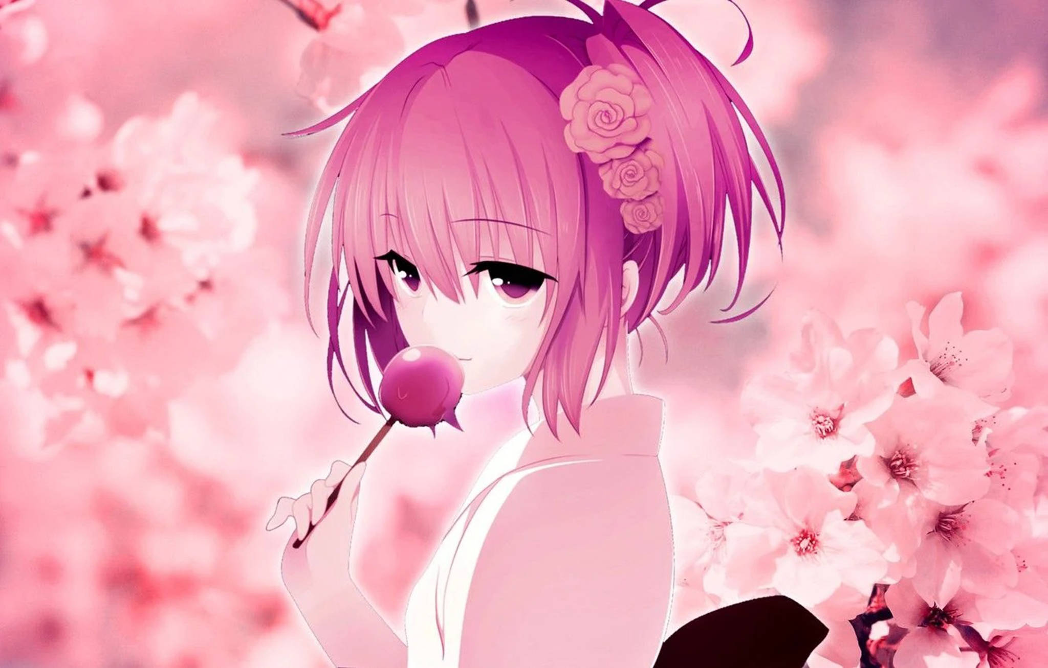 Subtiele Skakerings van Vreugde: 'n Verkenning van die Fassinerende Wêreld van Pienk Anime-estetika met Momo Belia Muurpapier