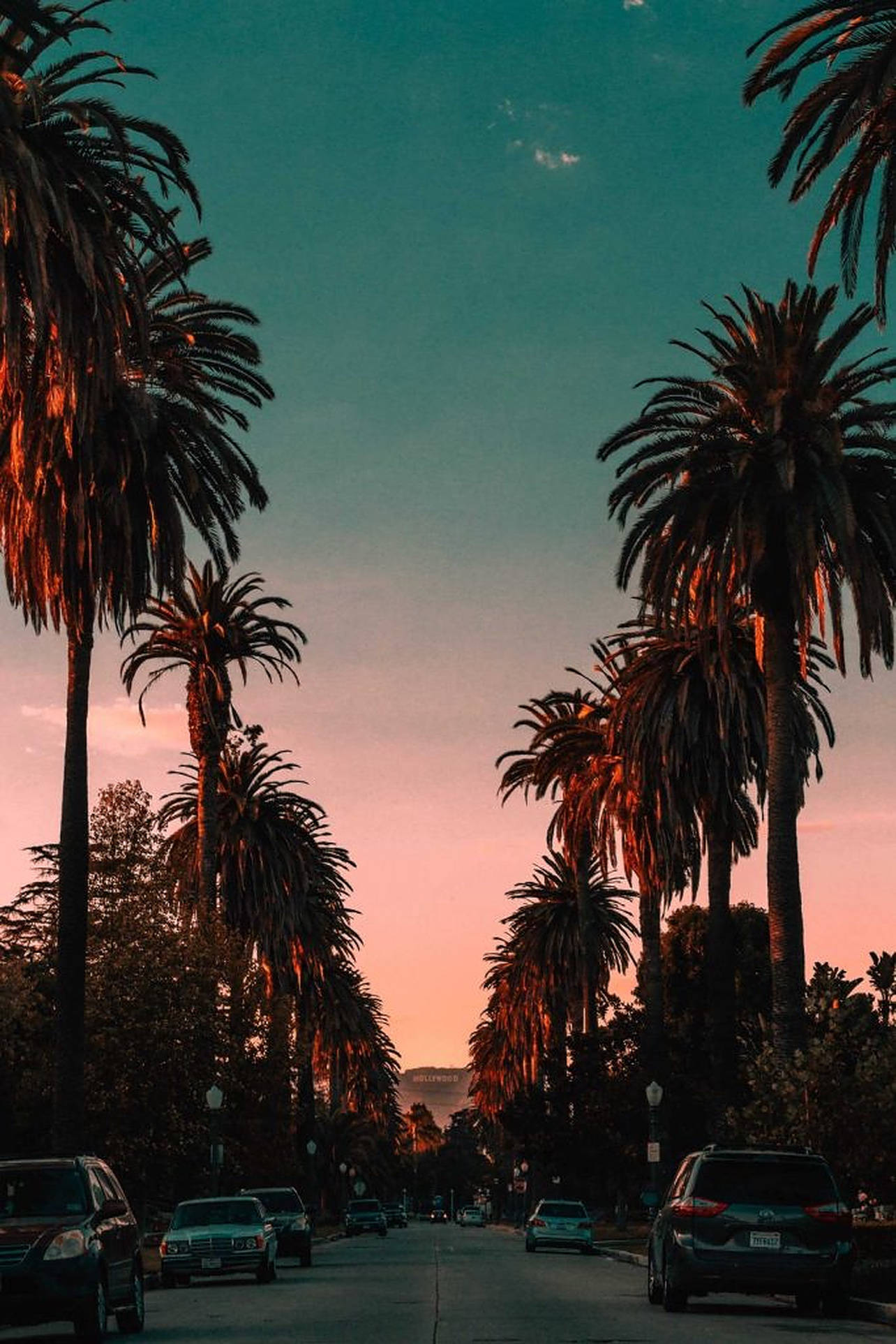 Sunset Boulevard Hollywood-teken Muurpapier