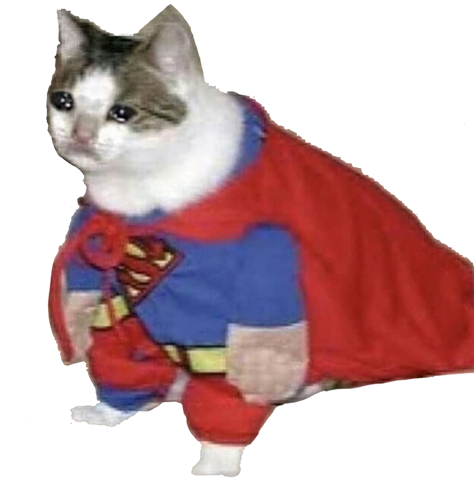 Super Kat_ Held_ Meme.PNG Muurpapier
