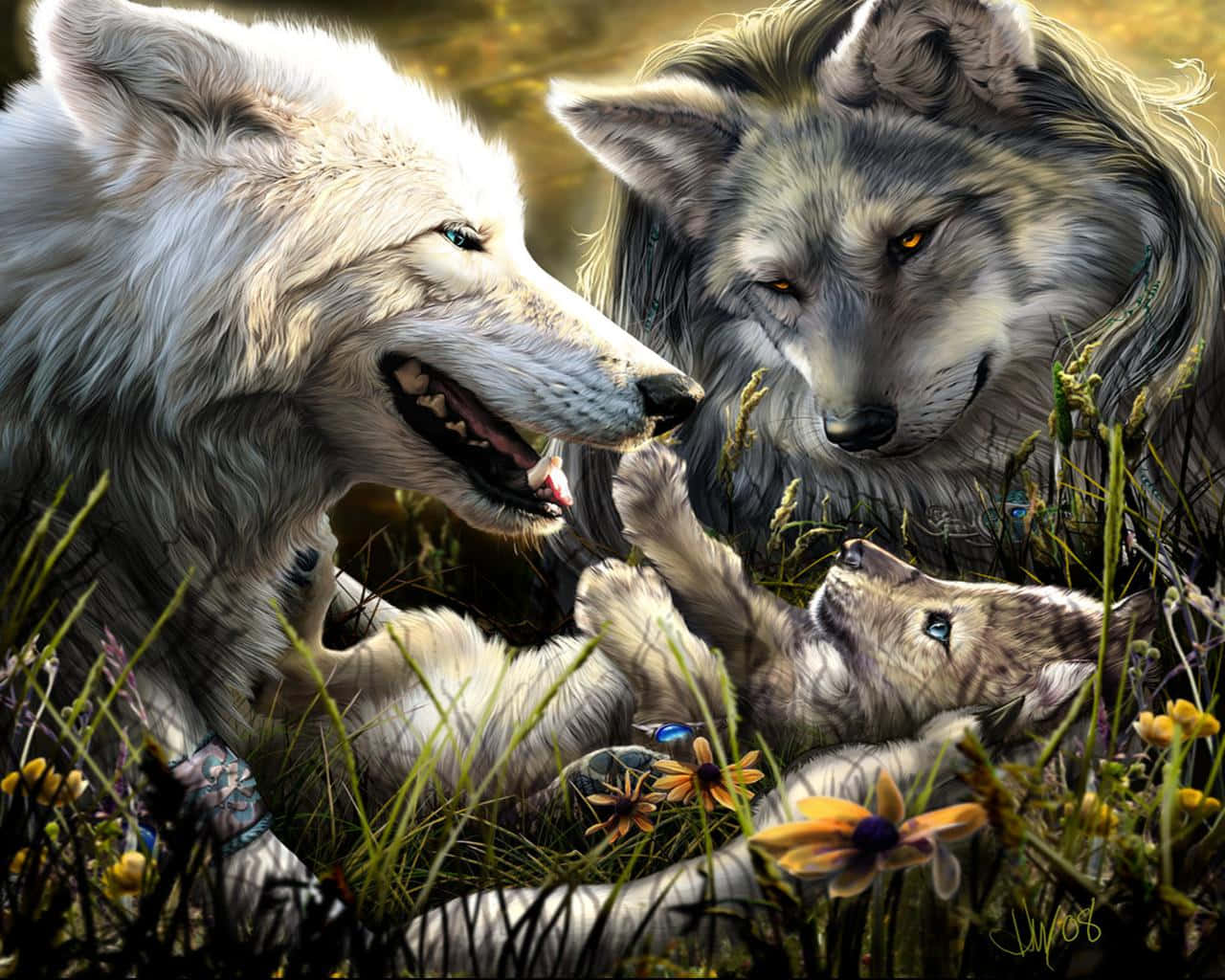 Super Koel Wolf Familie Muurpapier