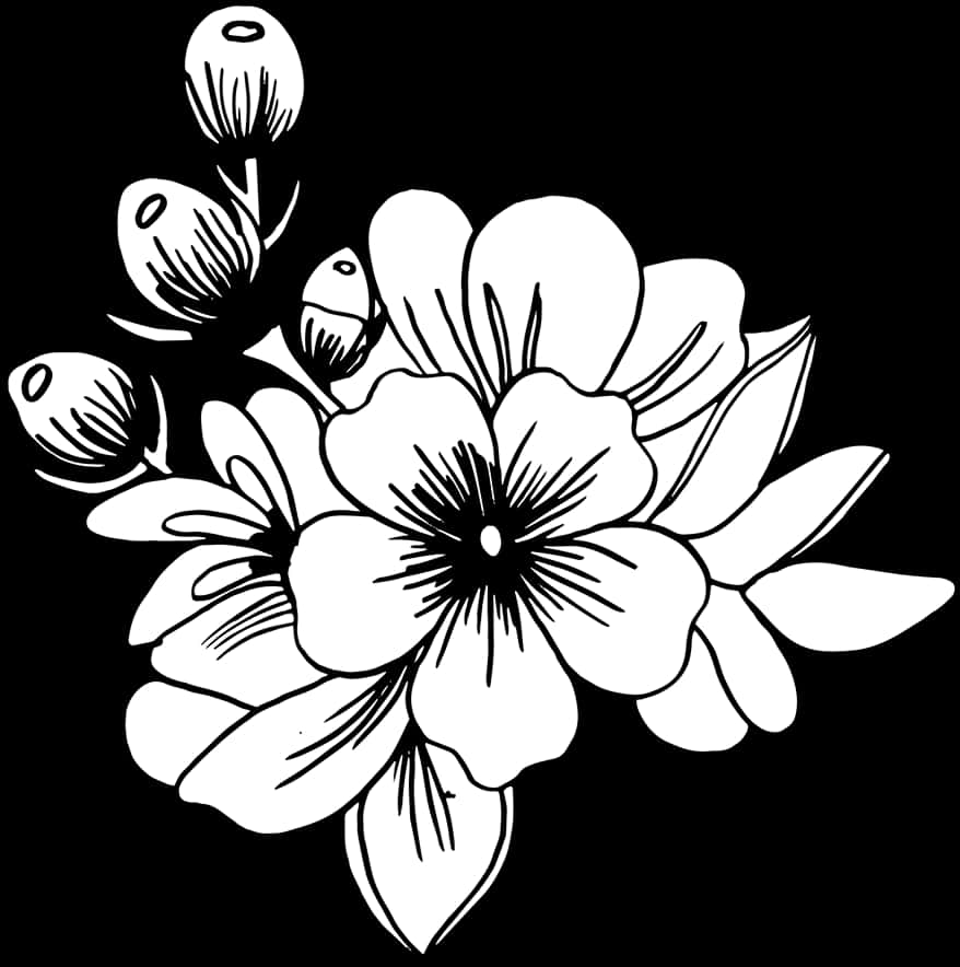 Swart en Wit Blomillustrasie Muurpapier