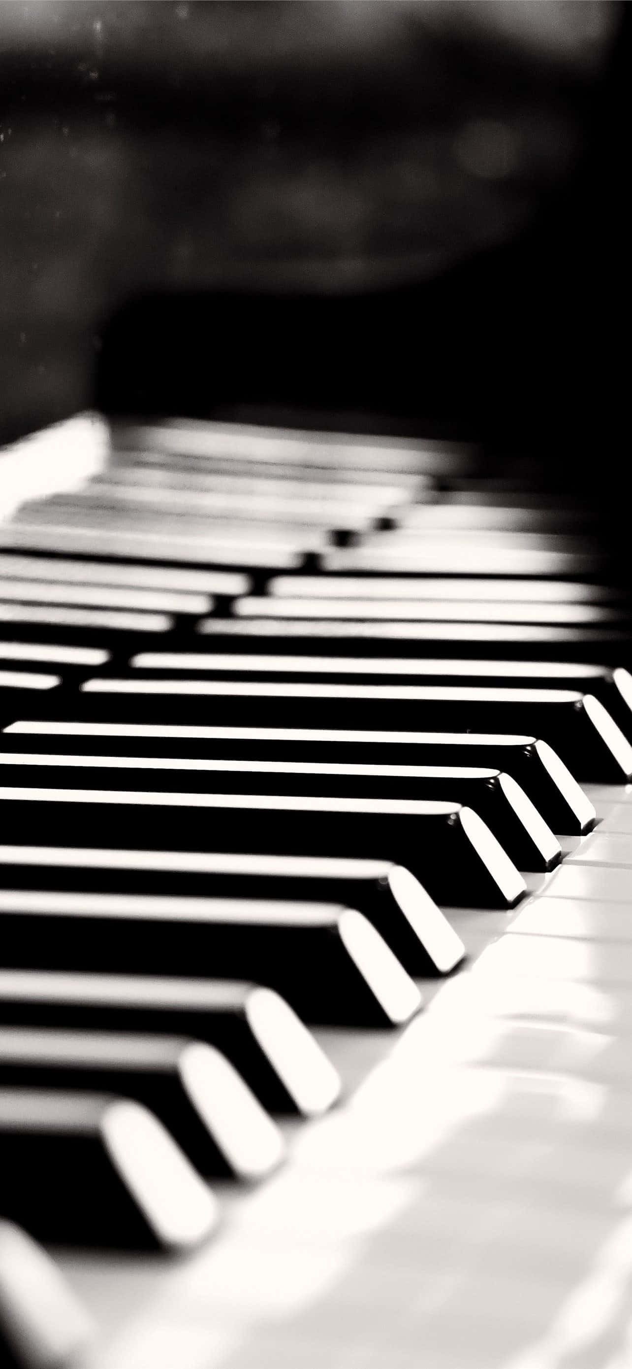 Swart en Wit Klavier Musiekinstrument Foto Muurpapier