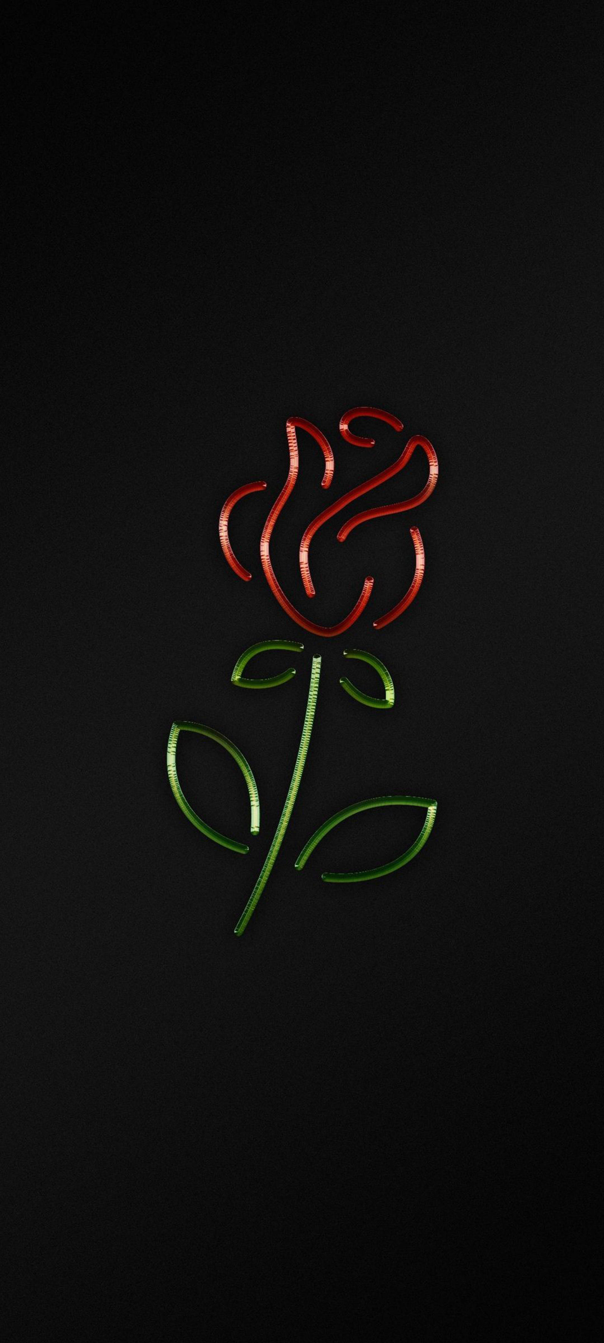 Swart iPhone Roos Muurpapier