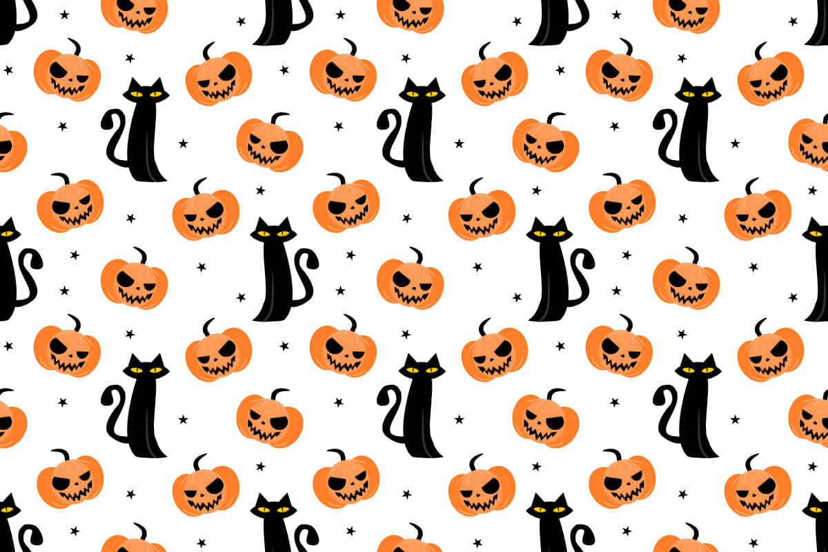 Swart Kat, die Perfekte Troeteldier Muurpapier