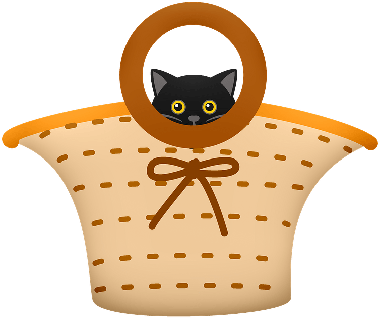 Swart Kat in Mandjie Grafika Muurpapier