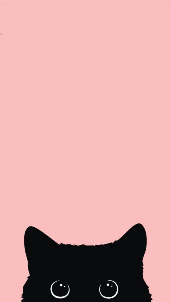 Swart Kat iPhone 12 Muurpapier