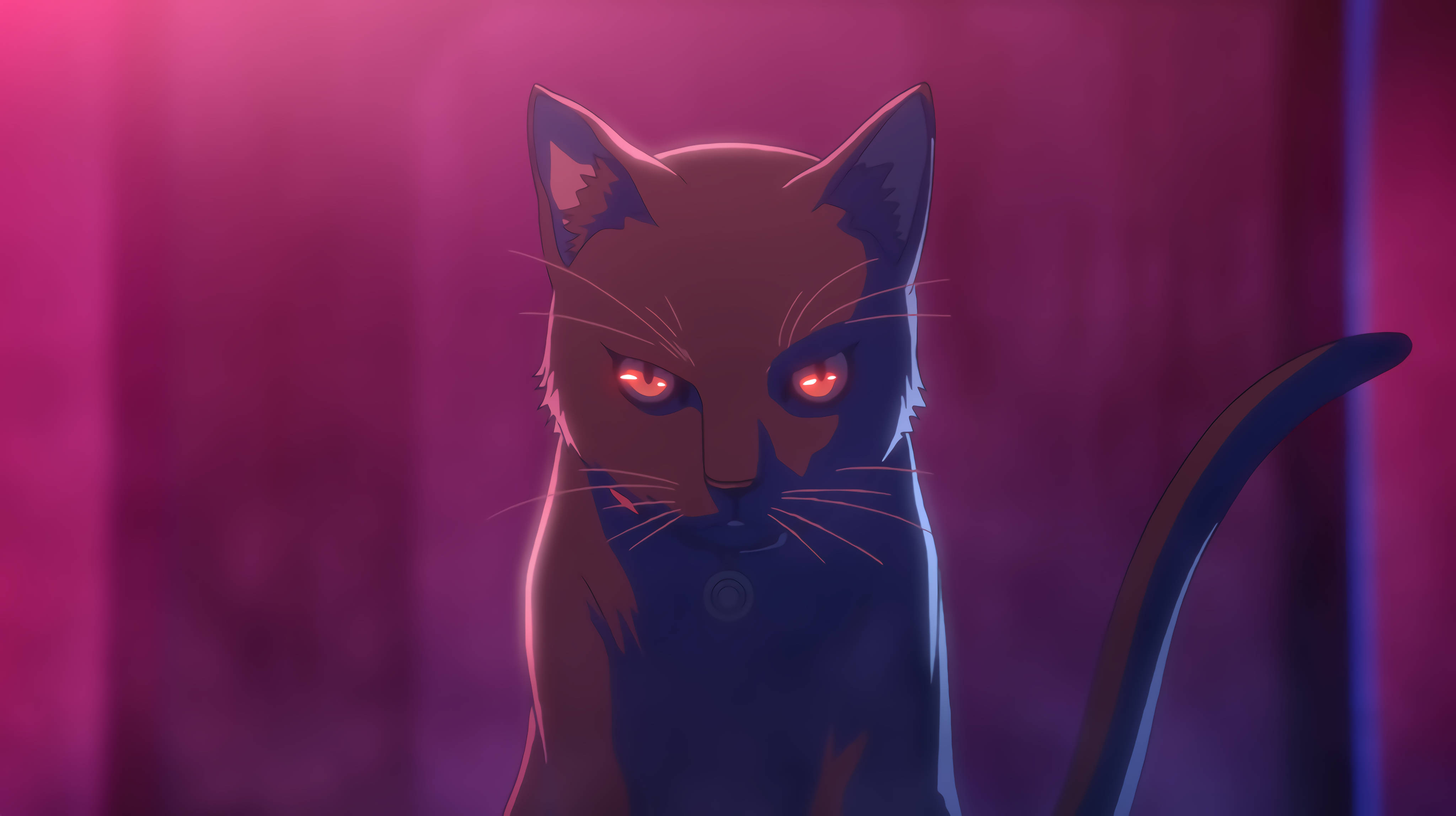 Swart Kat Rekenaar Anime Muurpapier