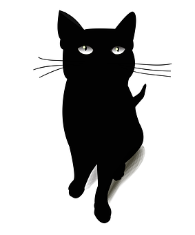 Swart Kat Silhoeet Illustrasie Muurpapier