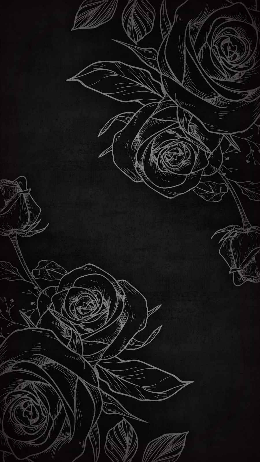 Swart Roos iPhone-agtergrond Muurpapier