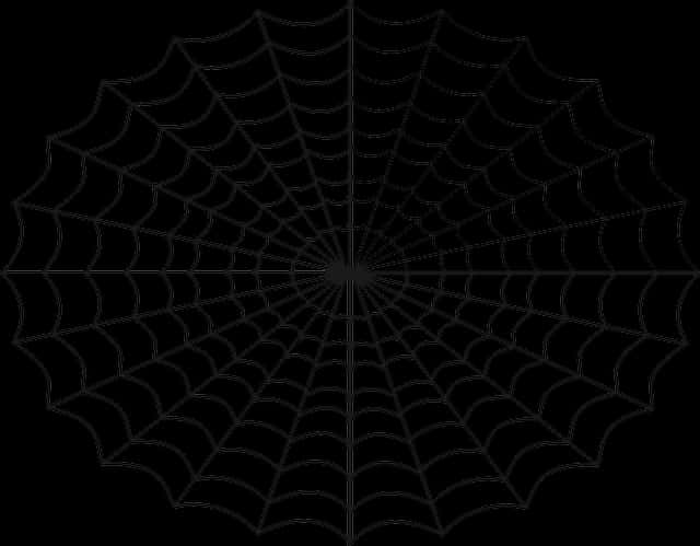 Swart Spinnekopweb Patroon Muurpapier
