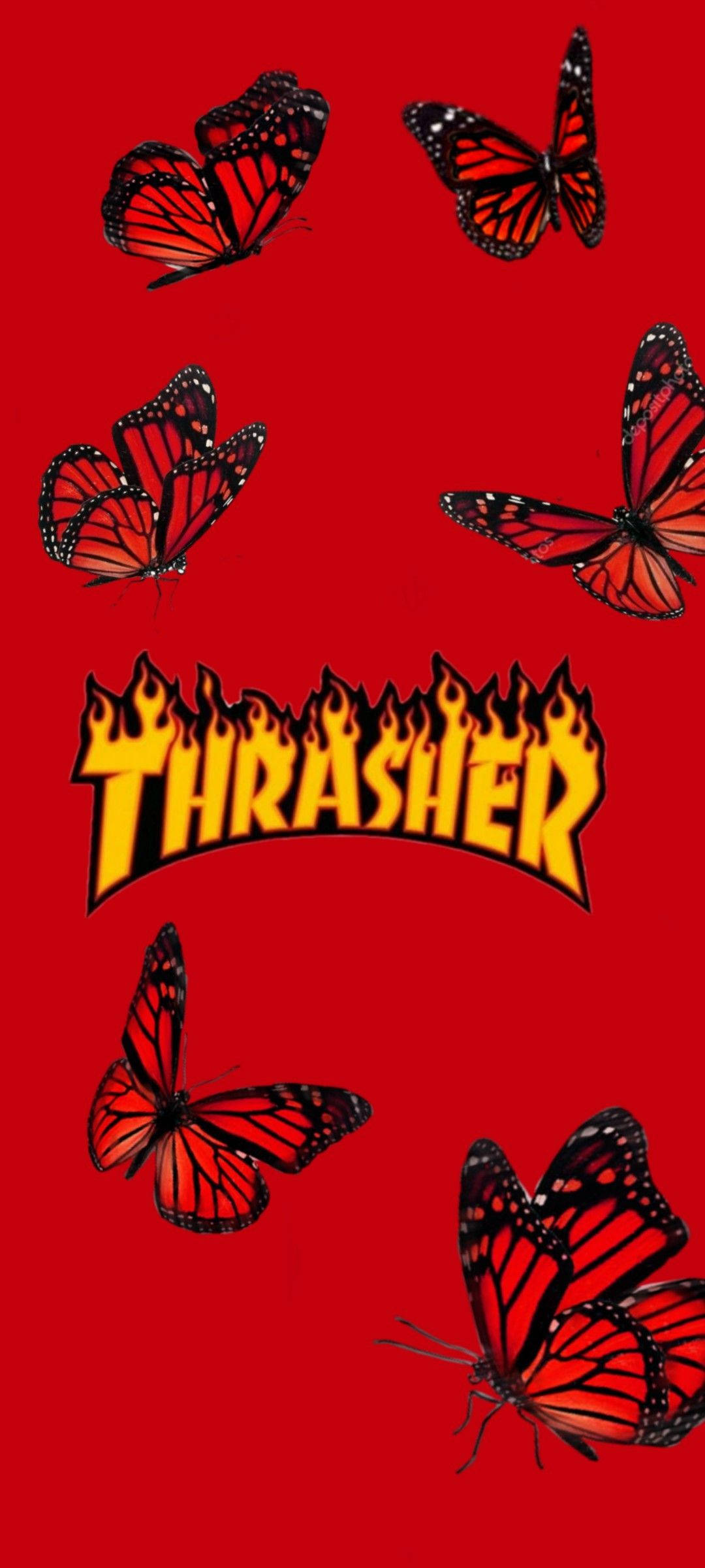 Thrasher Rooi Skoenlappers Muurpapier