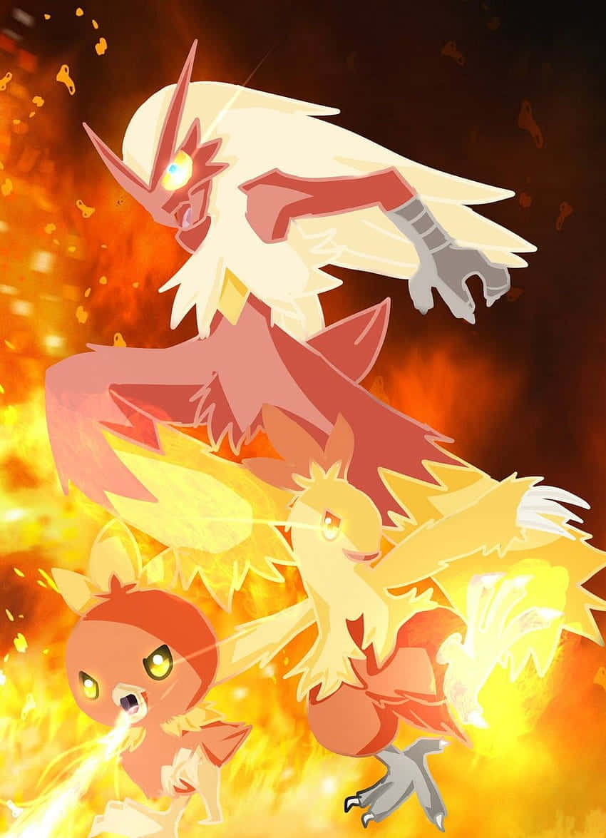 Torchic Pokemon Evolusie Fases Illustrasie Muurpapier