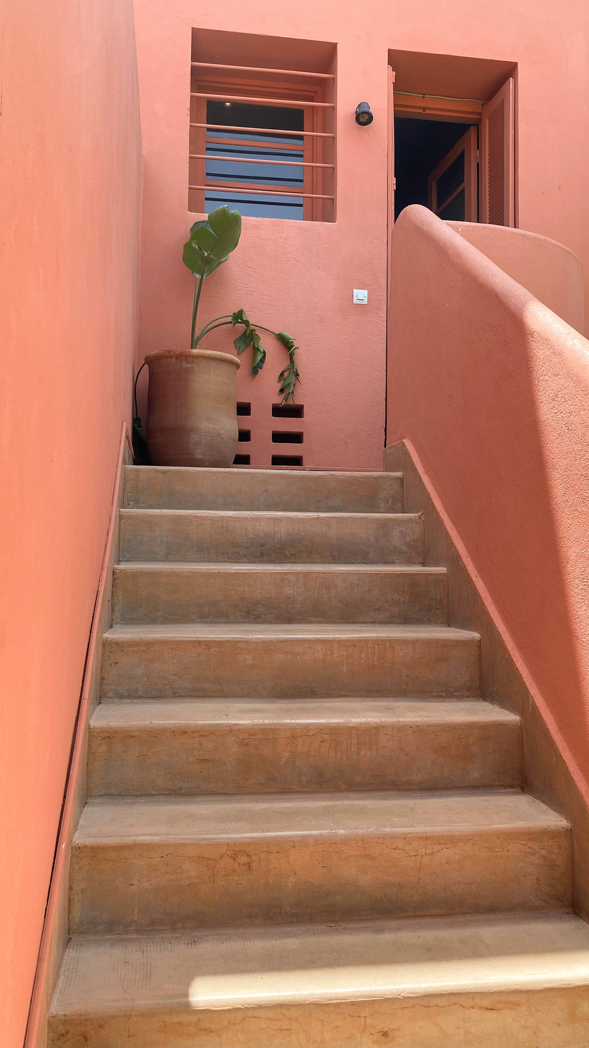 Trap- en Potplant-estetika Muurpapier