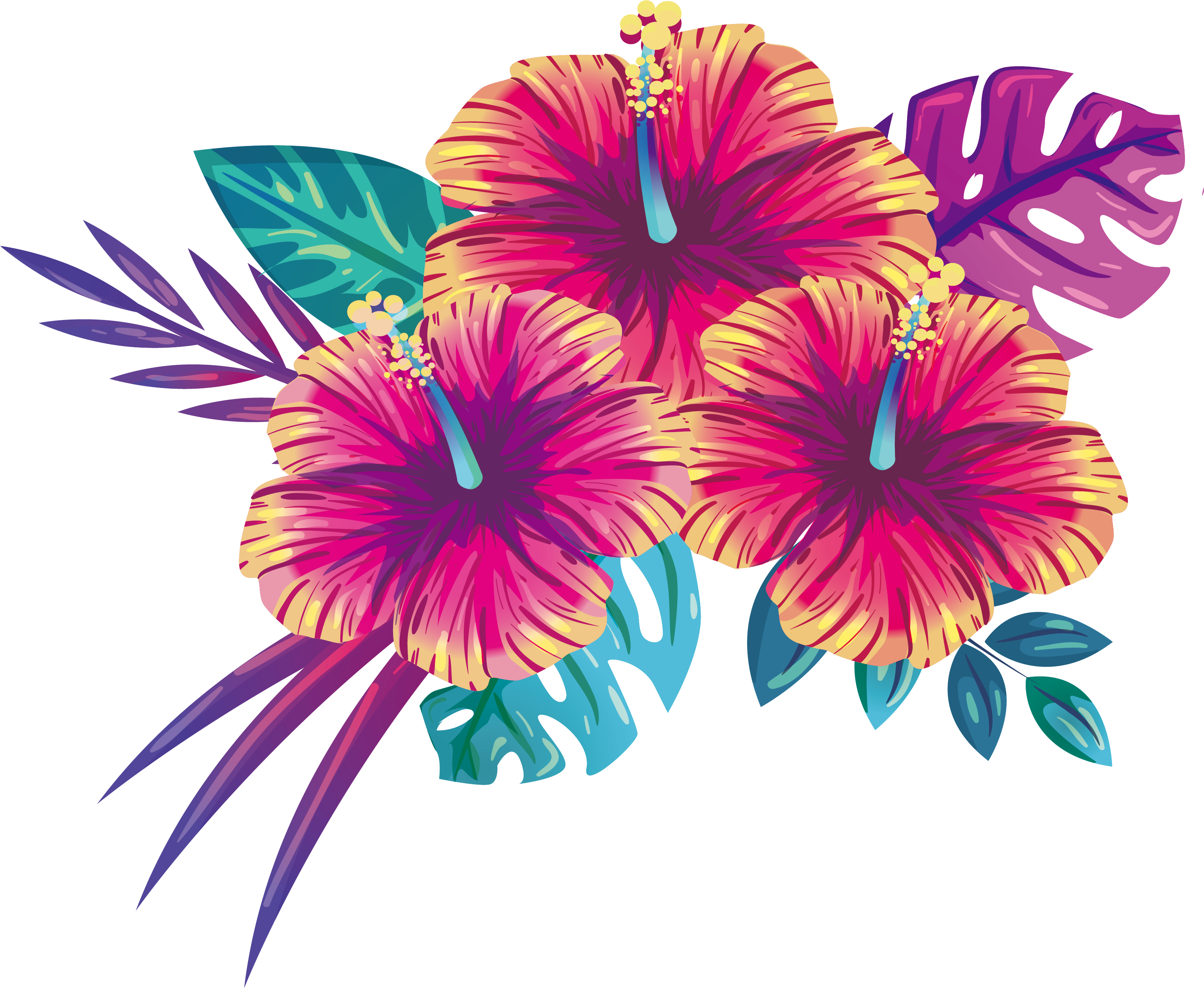 Tropiese Hibiskus Blomillustrasie Muurpapier