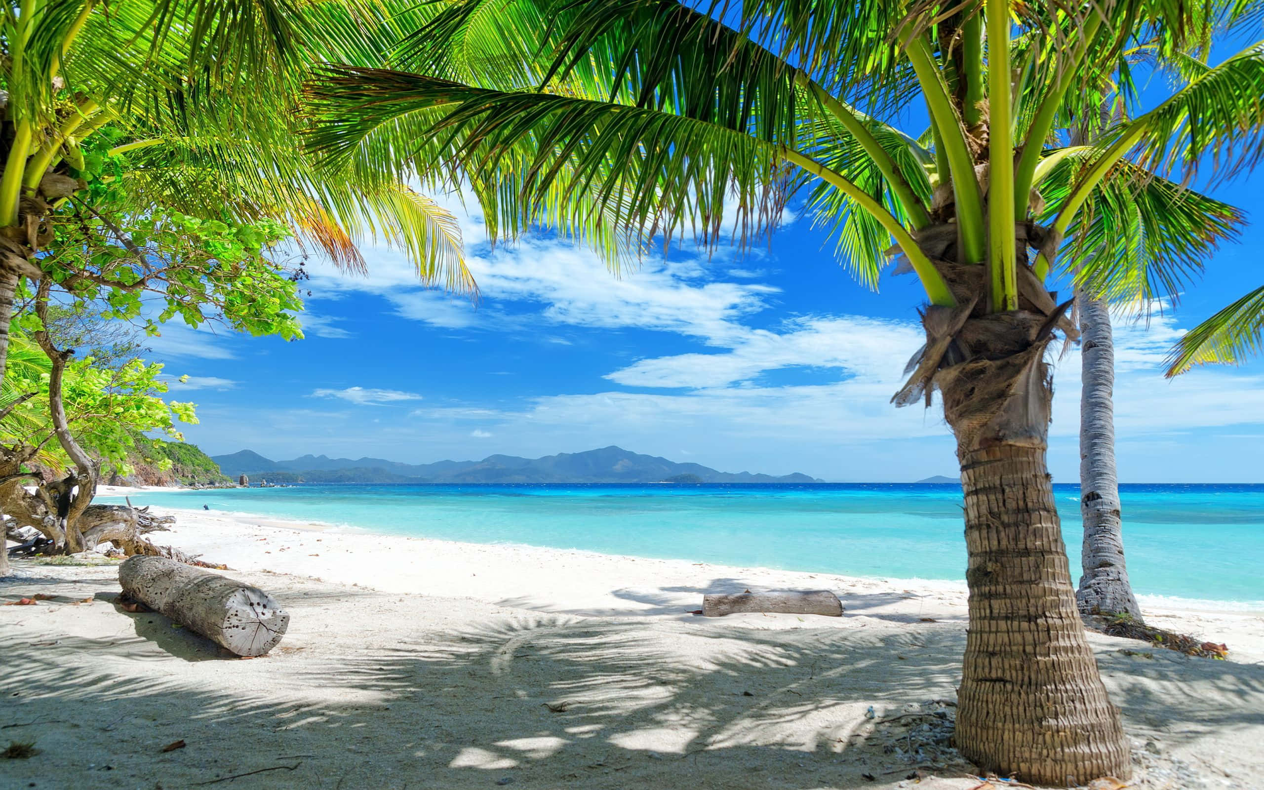 Tropiese Somer Palmstrand Muurpapier