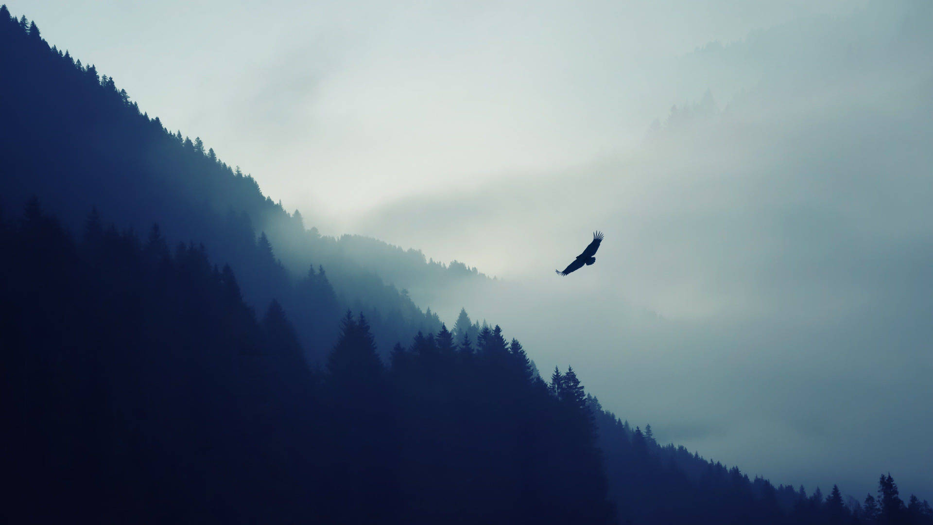 4K Arend in Berge agtergrond — 4K natuur GIF Muurpapier