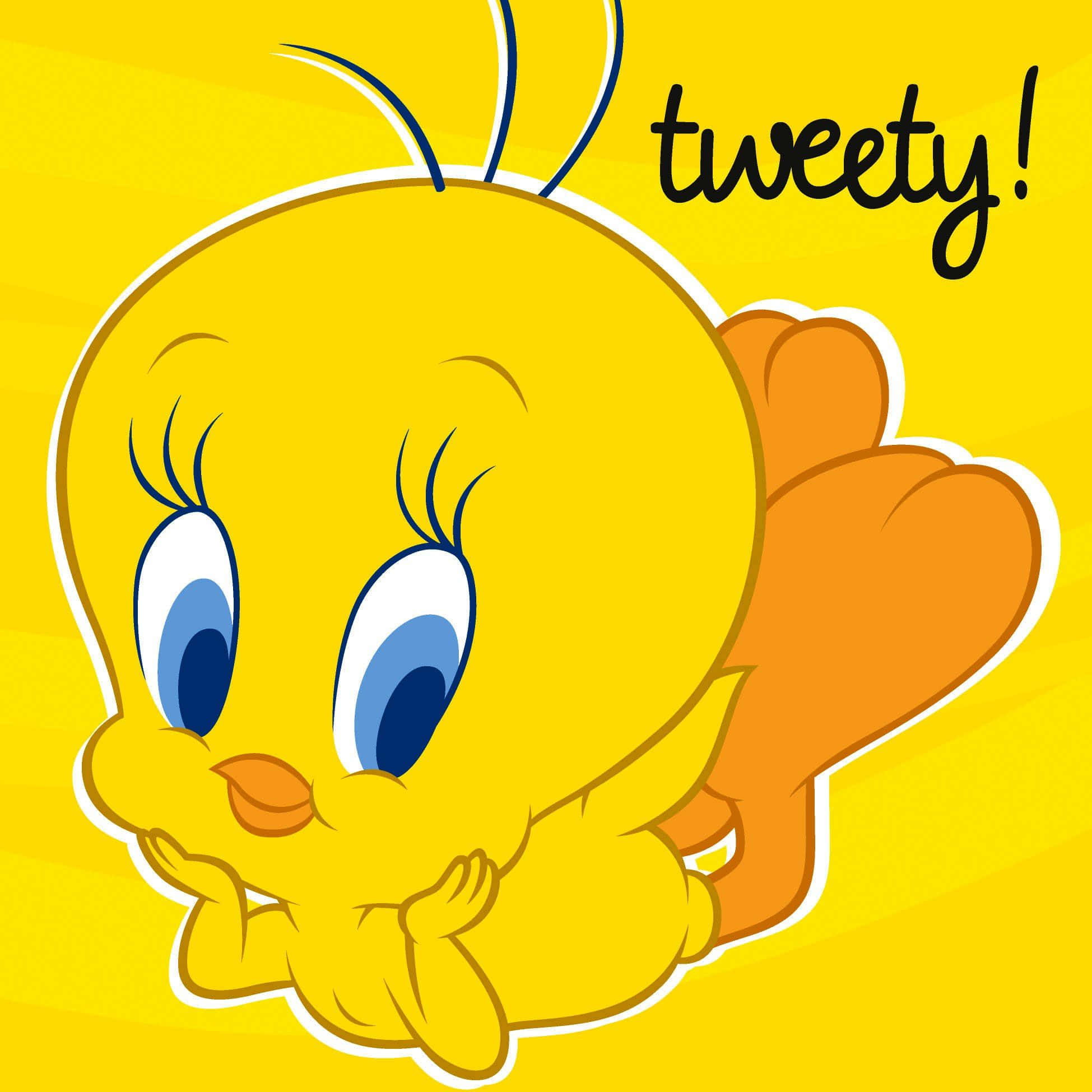 Tweety Voëltjie Muurpapier