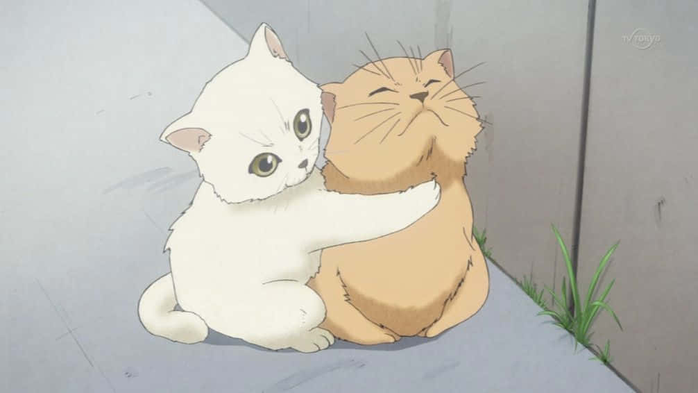Vang 'n glimp van hierdie bekoorlik speelse Anime Kat Muurpapier