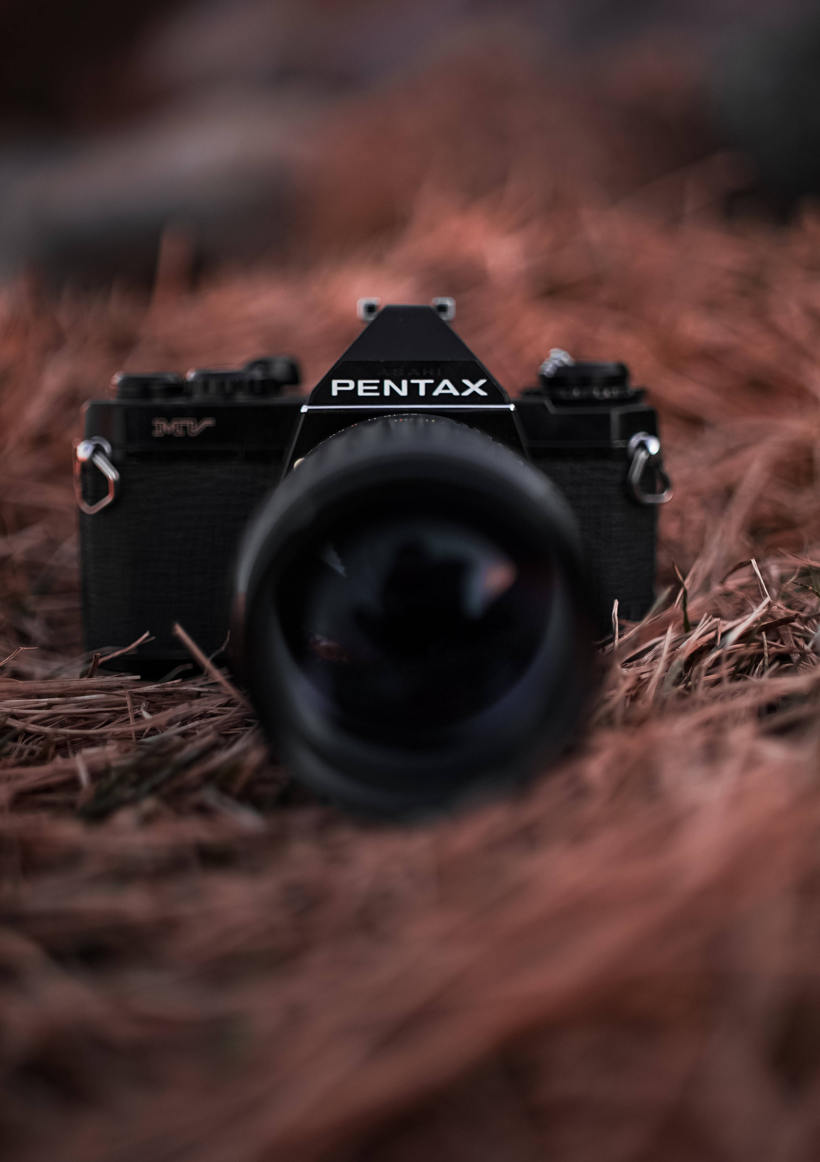 Vas die skoonheid van die lewe vas met 'n Pentax-kamera Muurpapier