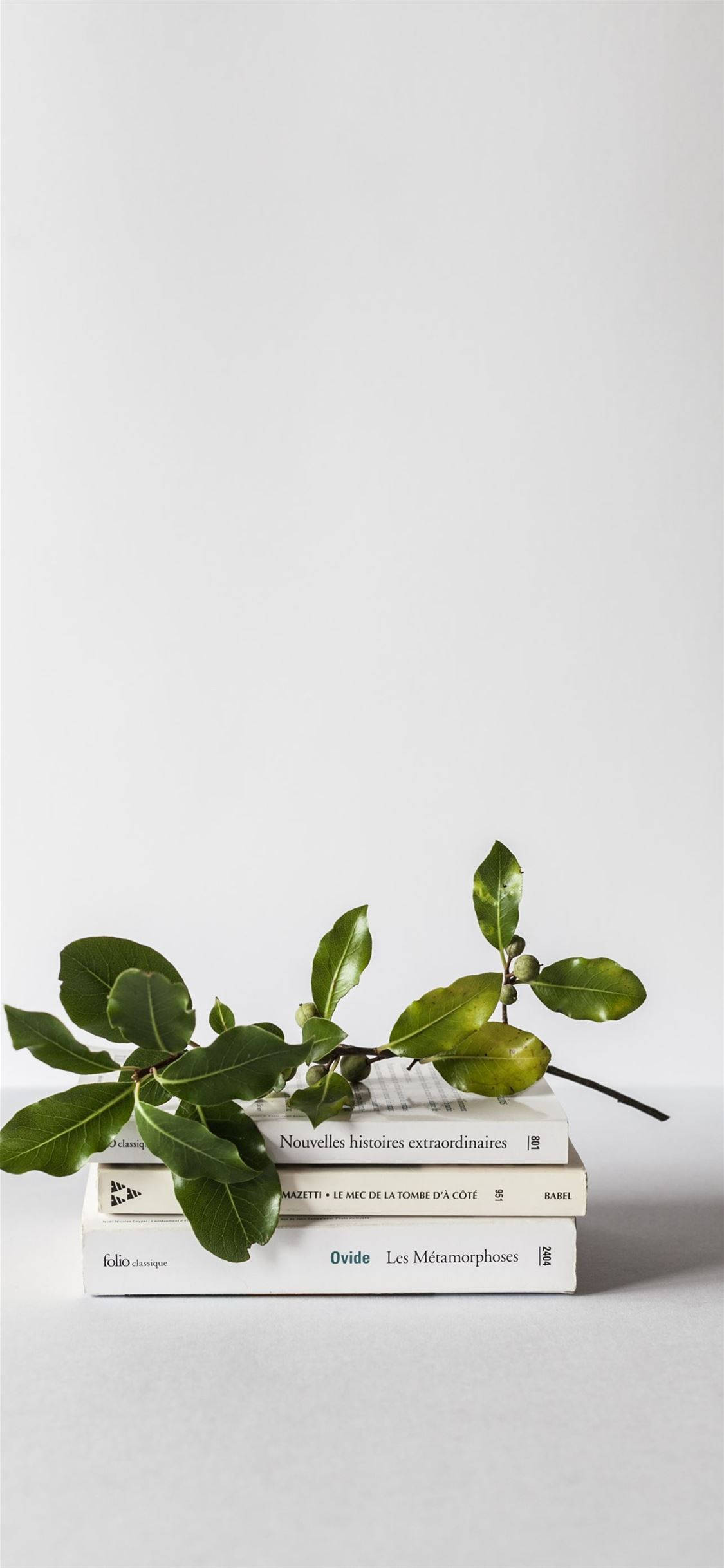 Verfris jou muurpapier met 'n prent van plante! Muurpapier