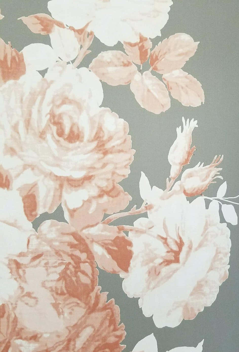 Verhelder jou dag met 'n pragtige blom-iPhone-agtergrond Muurpapier