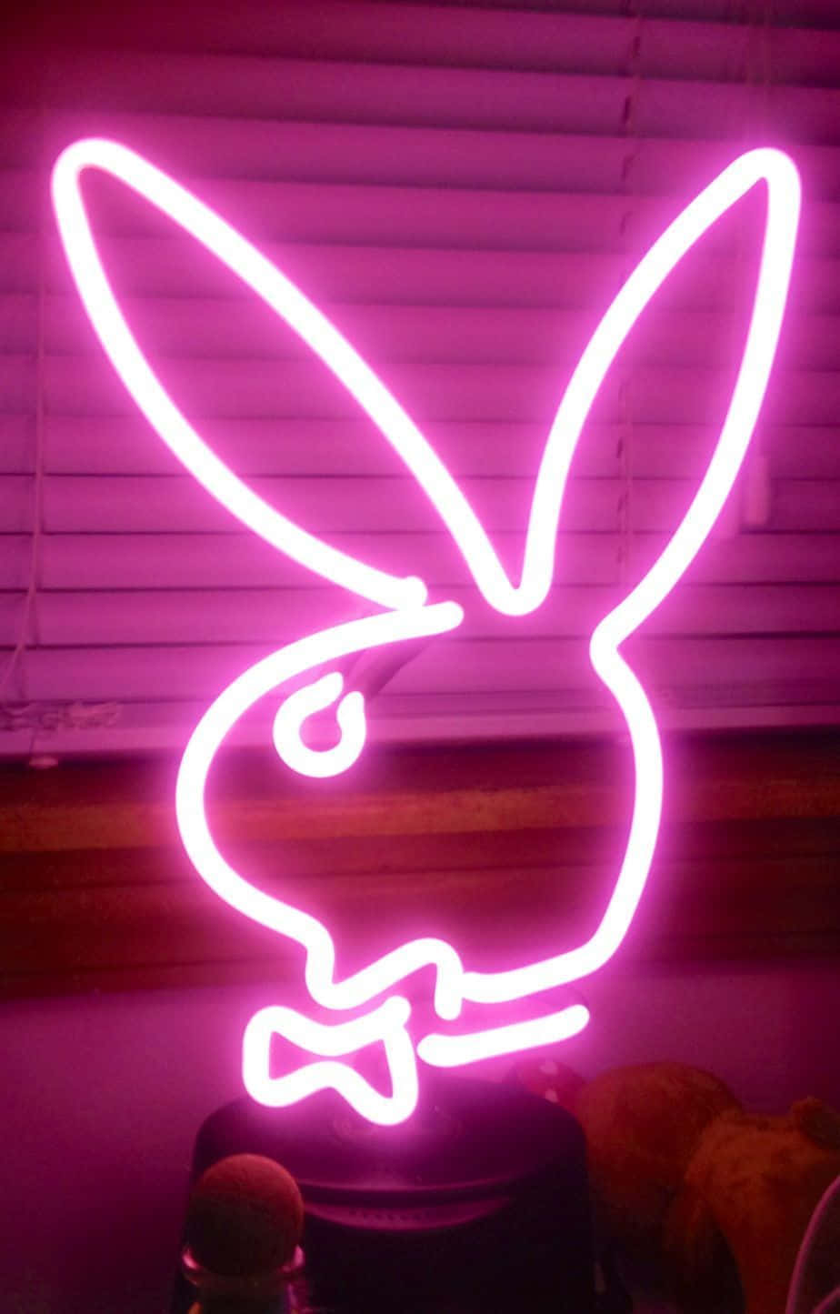 "Verhelder jou lewe met 'n neon-estetika" Muurpapier
