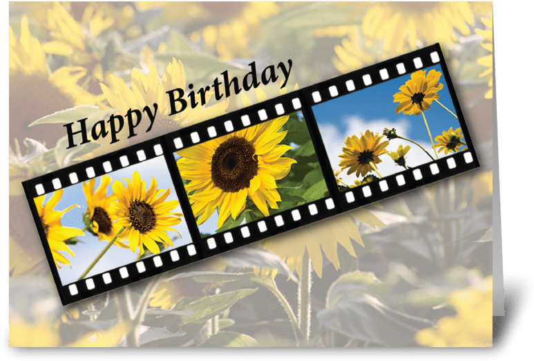 Verjaardagswense Filmstrook met Sonneblomme Muurpapier