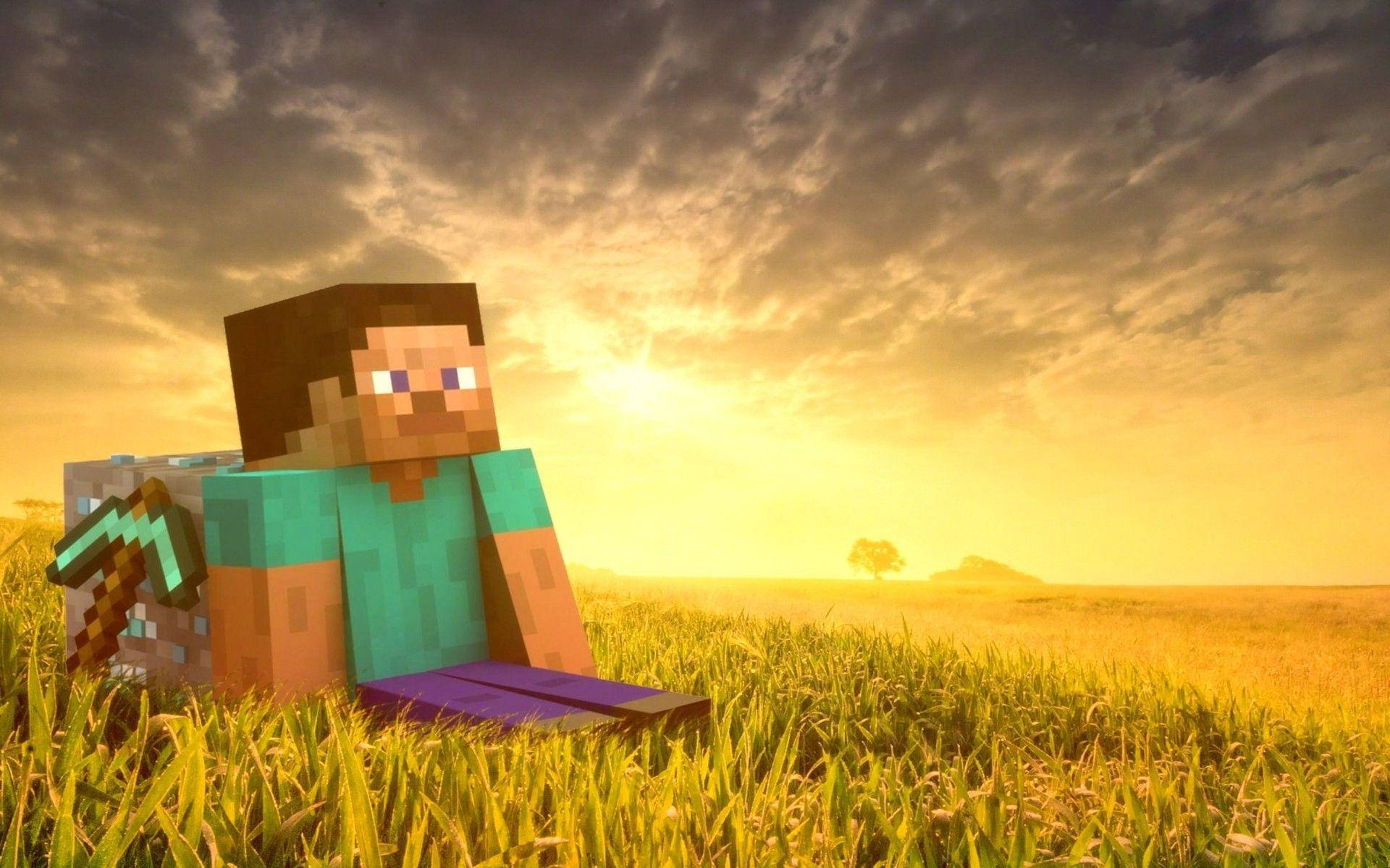 Minecraft Steve In Grasveld HD-agtergrond