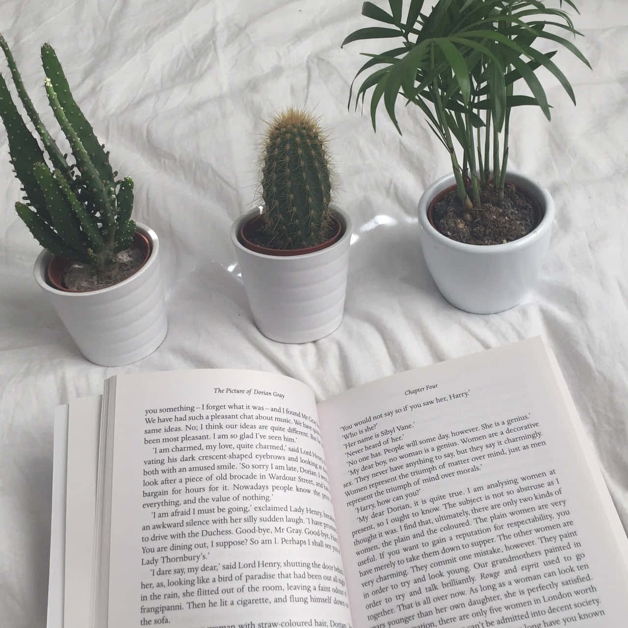 Verken die wêreld van boeke! 📖 Muurpapier