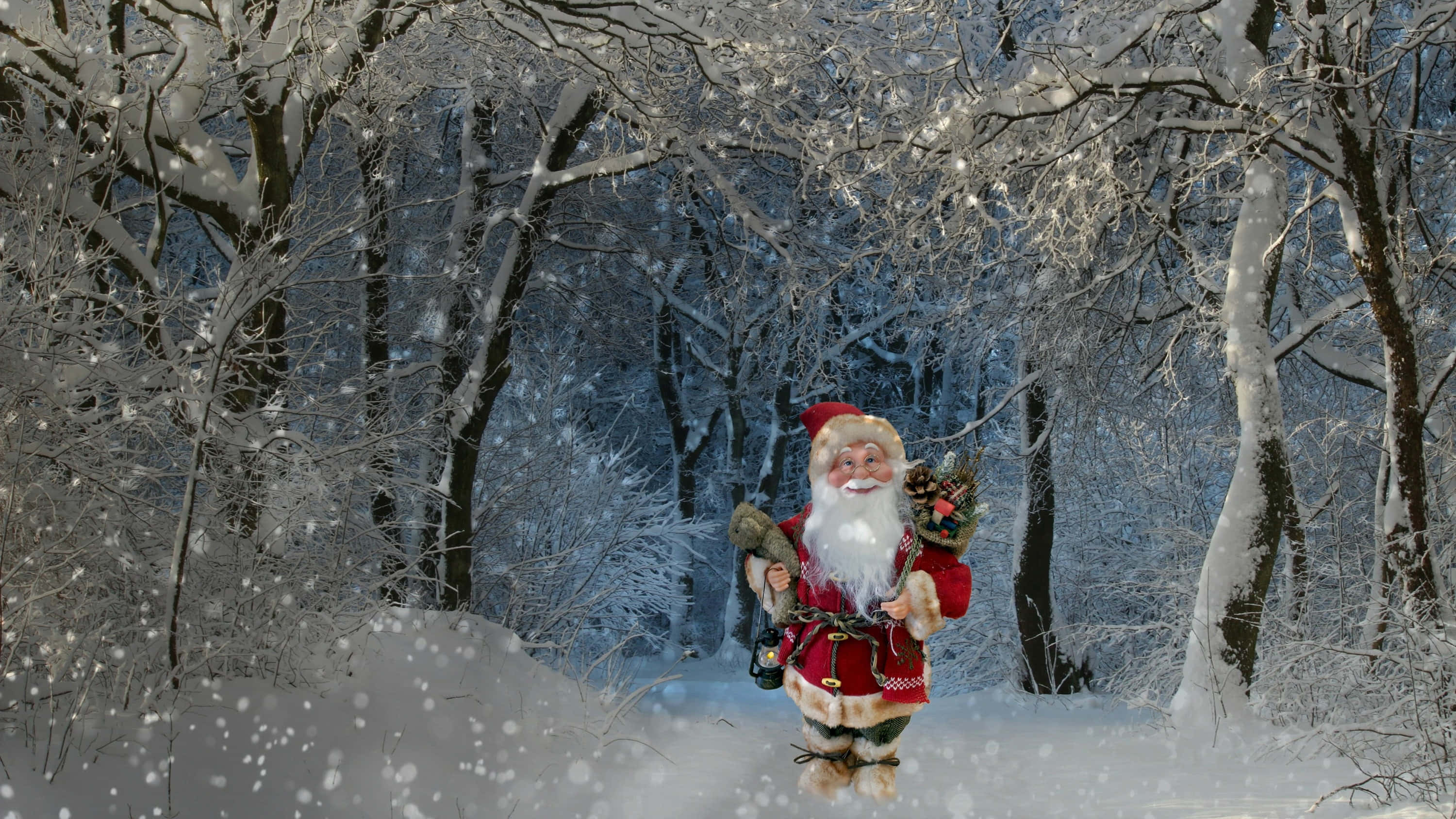 "Versier die Sale met Takke Holly hierdie Kersfees!" Muurpapier