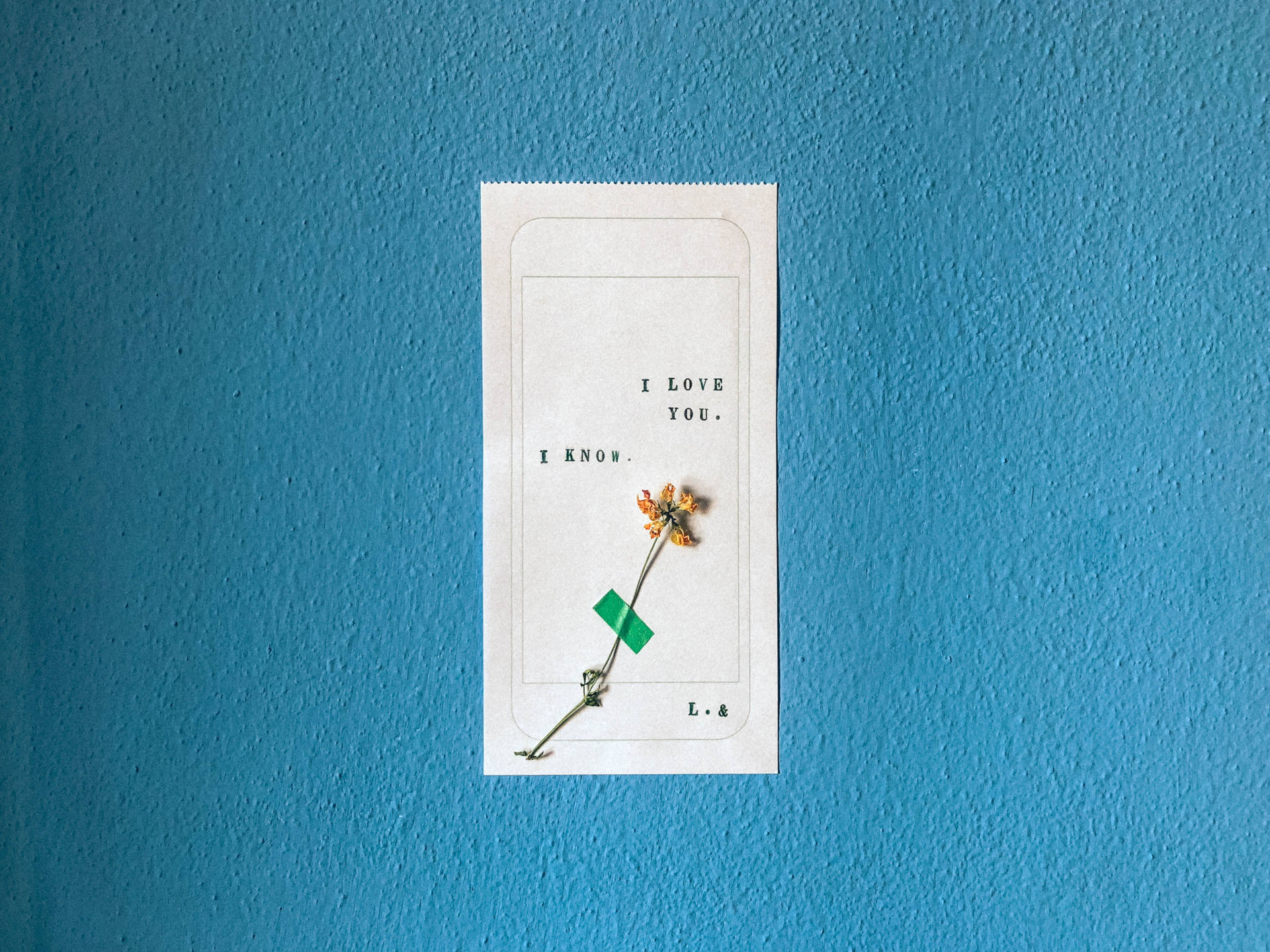 Versprei liefde Muurpapier