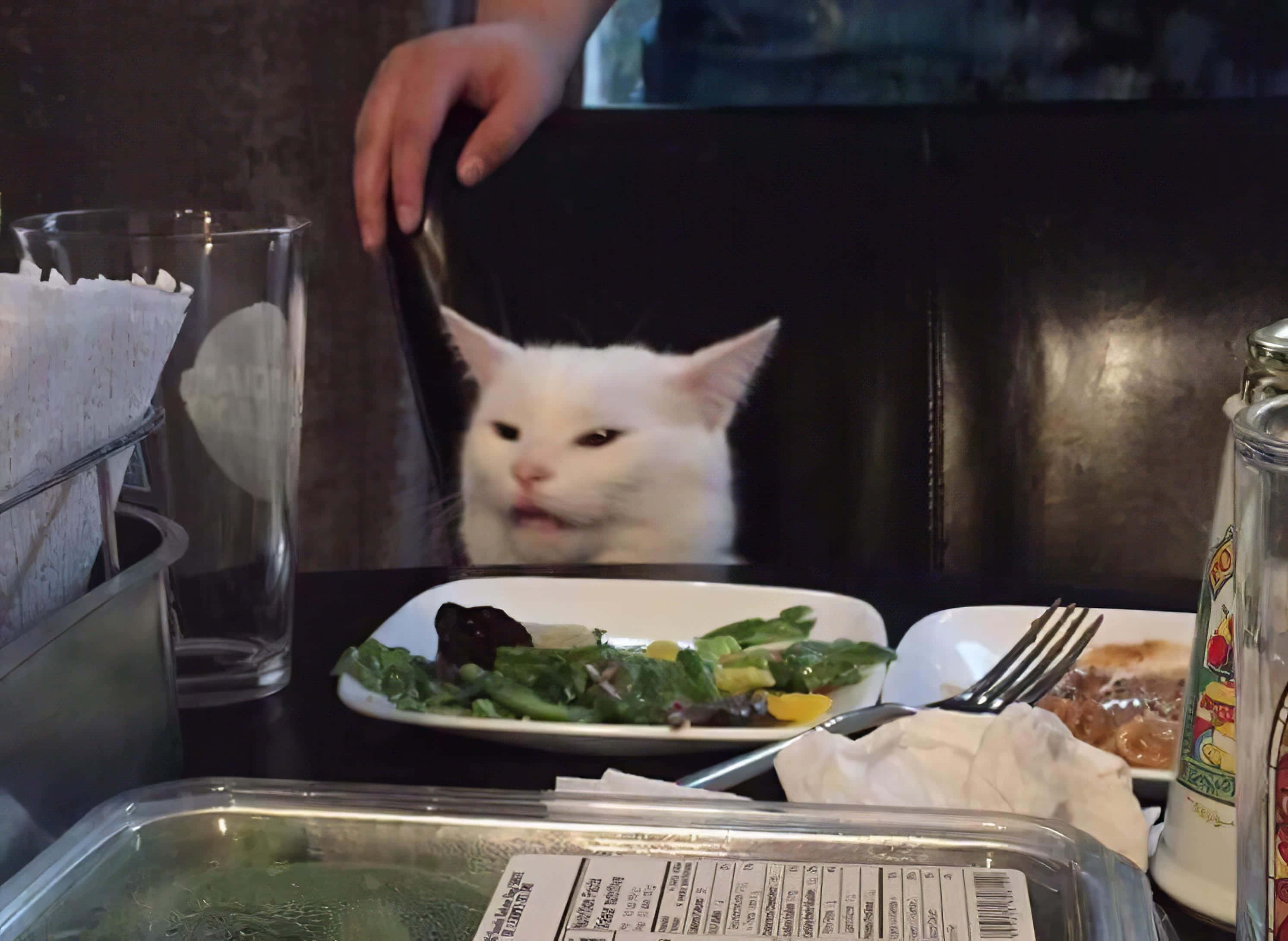 Vervloekte Kat Prent Tafel Kat Muurpapier