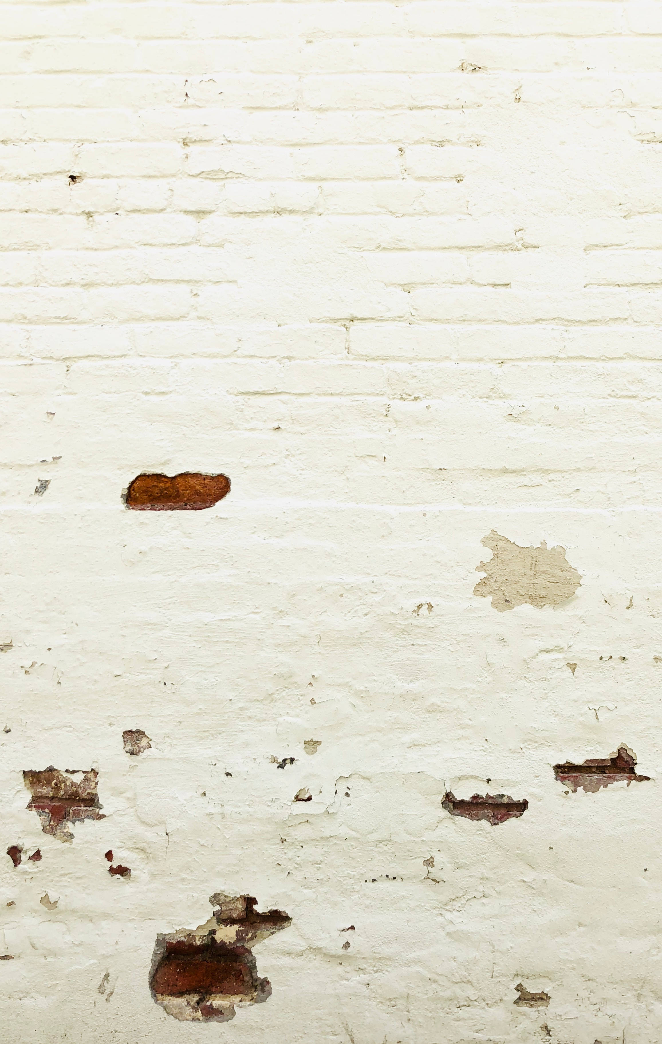 Verweerde Wit Baksteenmuur Muurpapier