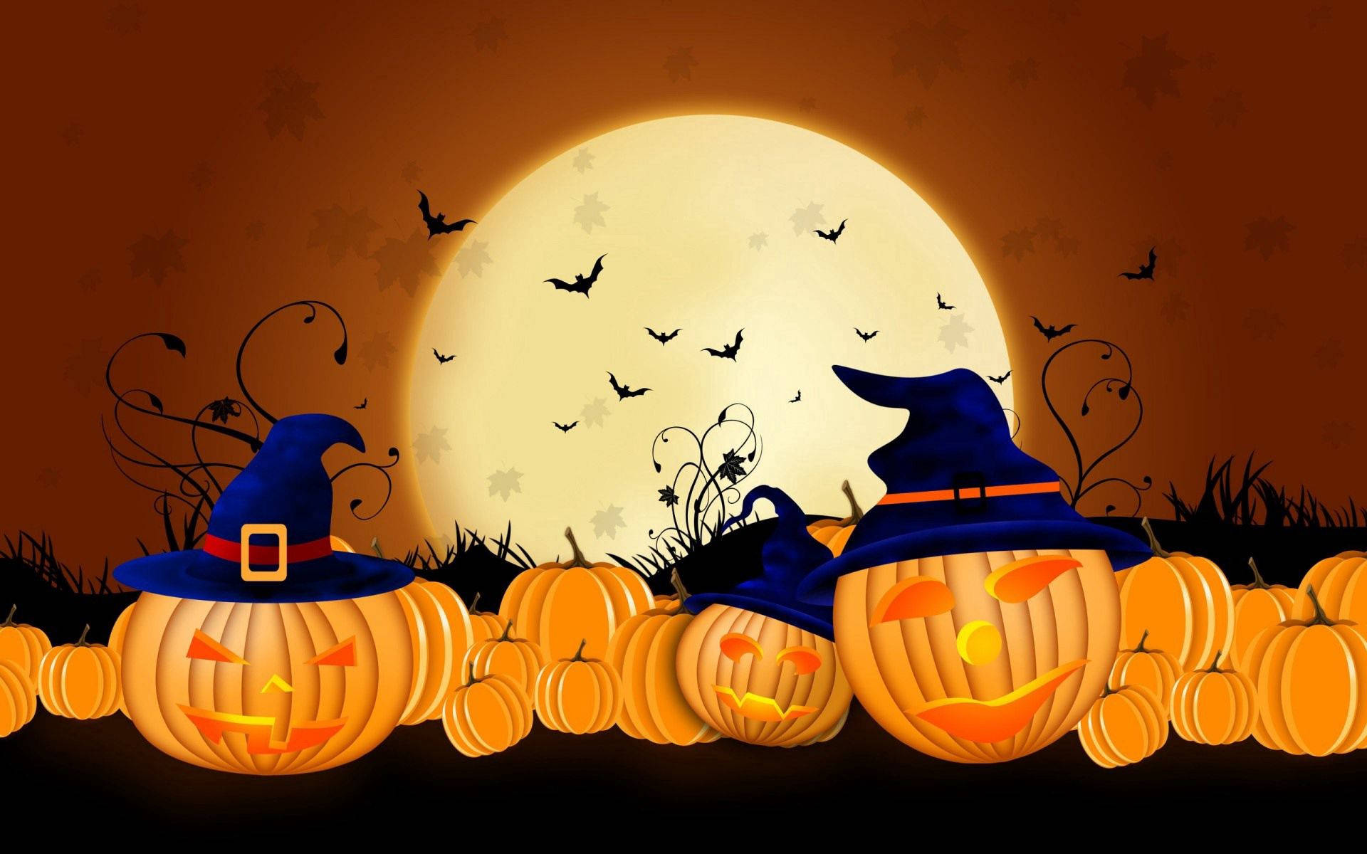 Vier die Magie van Halloween met Kleurvolle Pampoene! Muurpapier