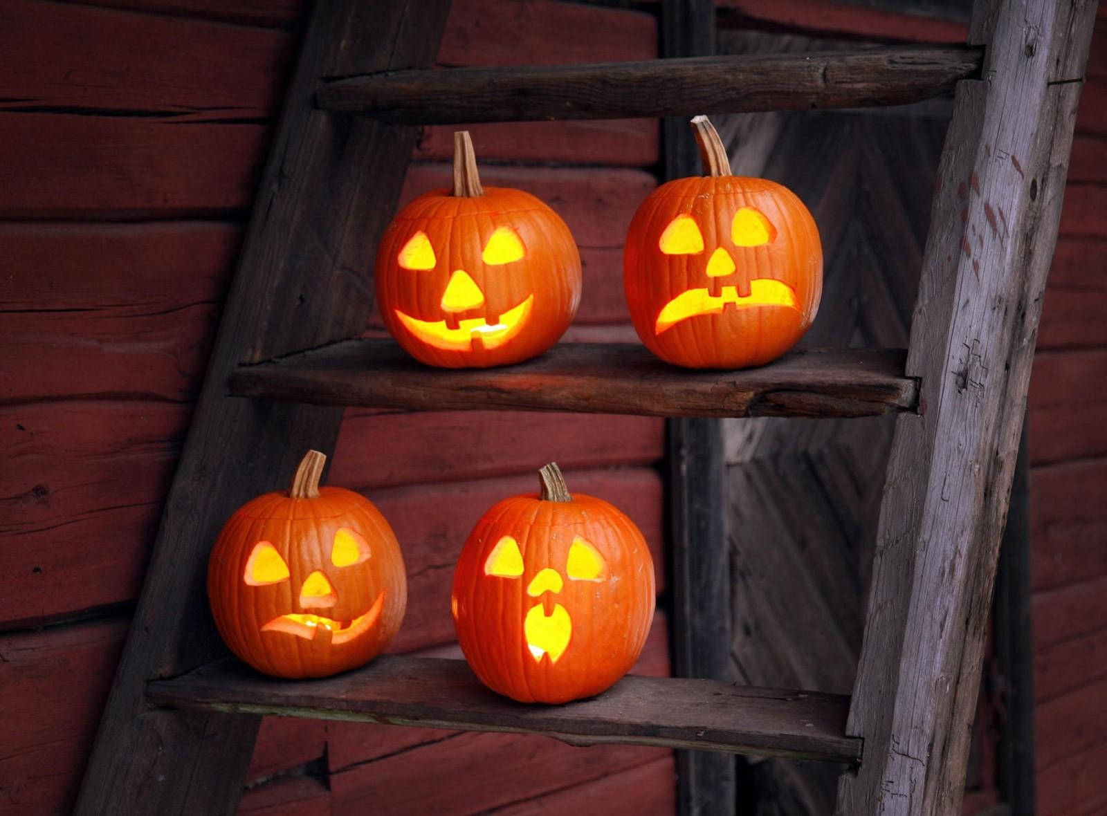 Vier Halloween met prettige en snaakse pampoene Muurpapier