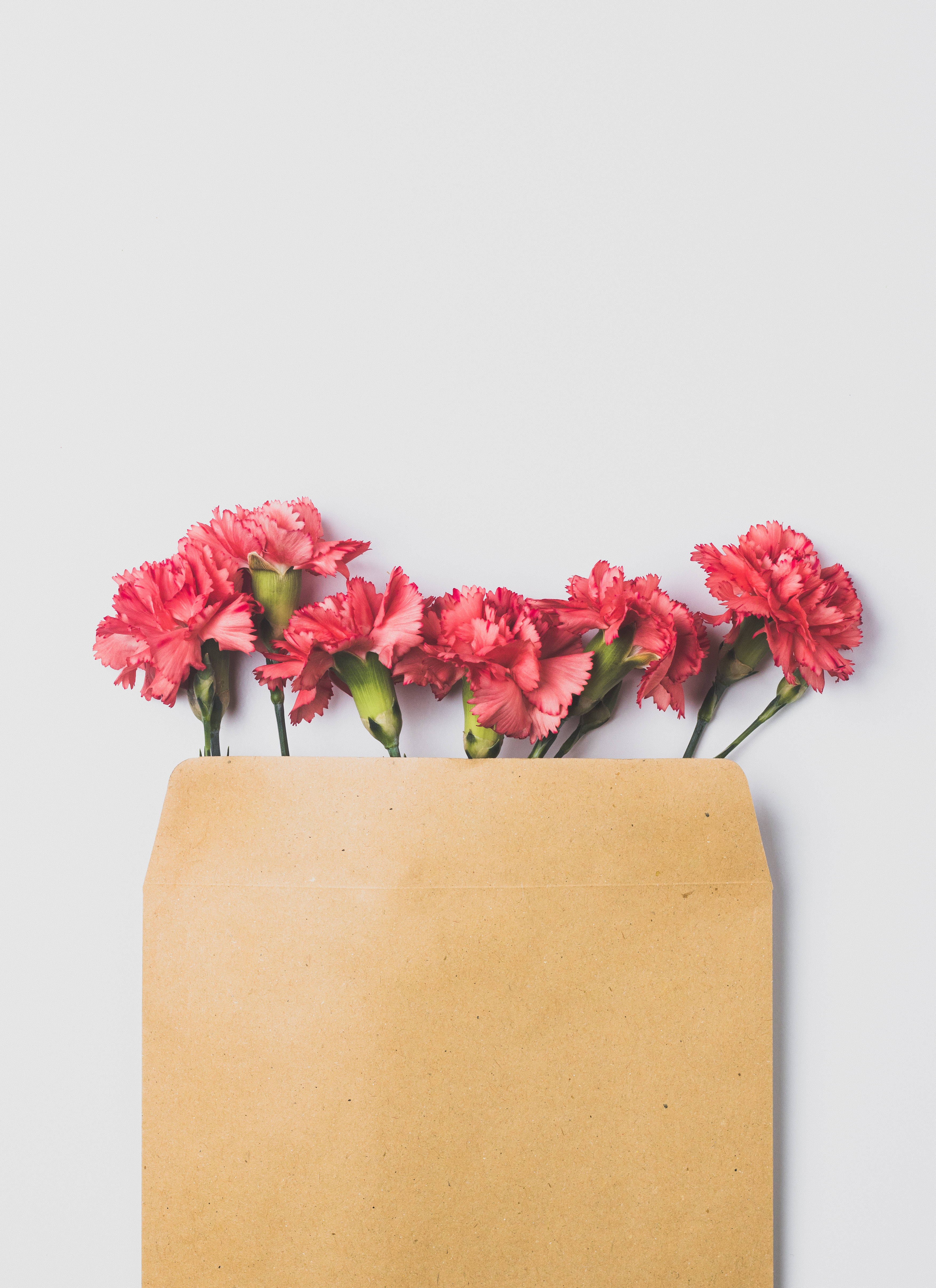 “Vier Ma Met ’n Ruiker Pienk Blomme” Muurpapier