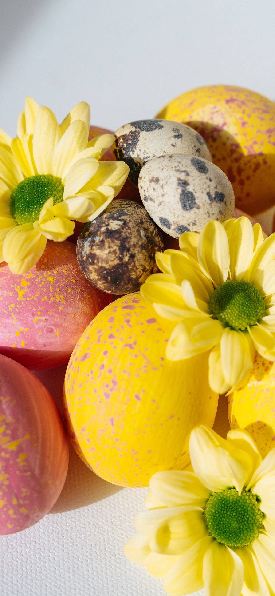 Vier Paasfees met jou Foon Muurpapier