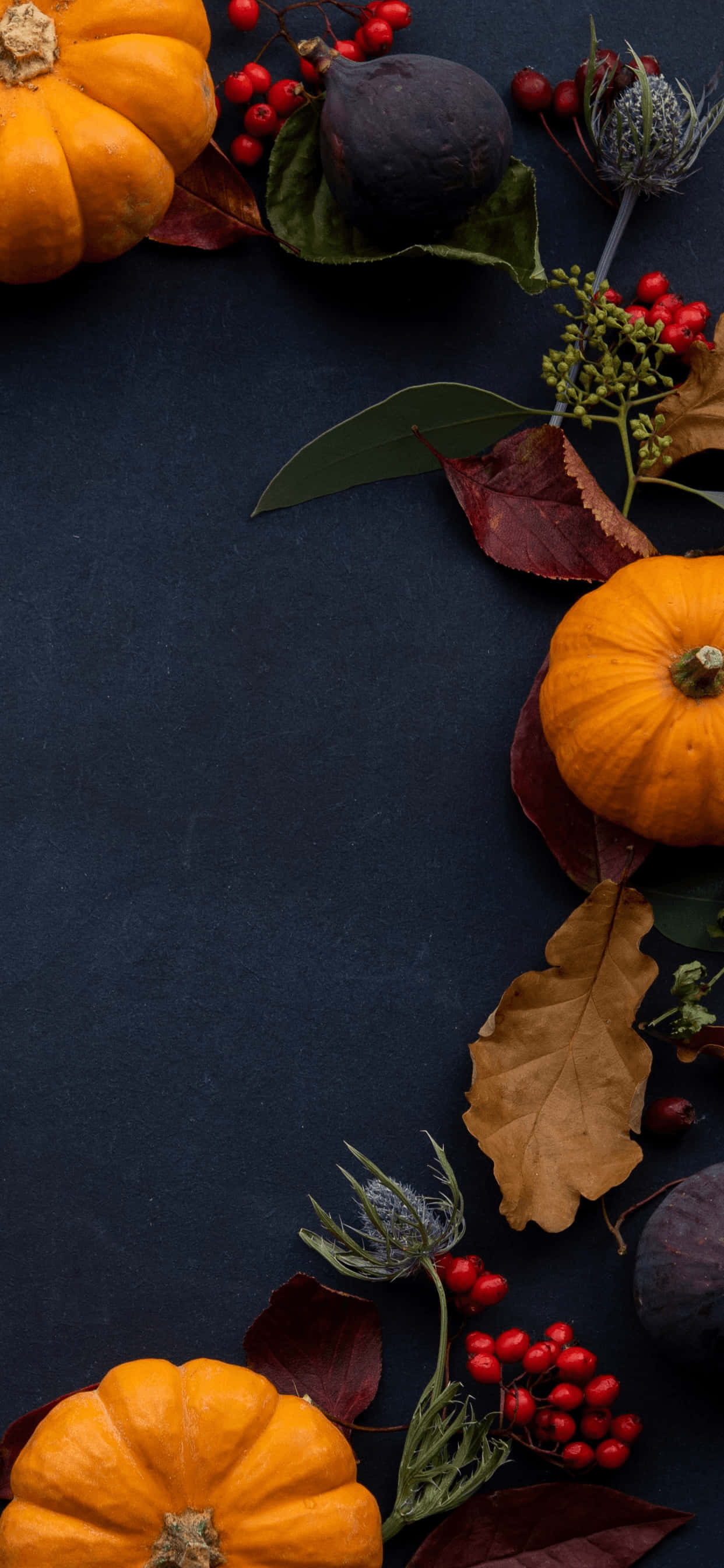 Vier Thanksgiving met hierdie pragtige gelukkige Thanksgiving-rekenaaragtergrond Muurpapier