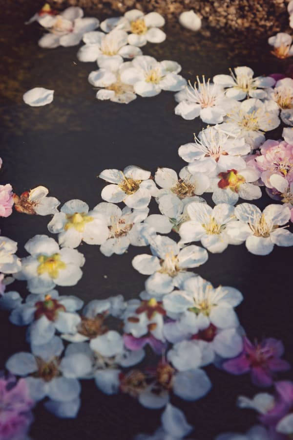Vintage Blomme-estetiek op Water Muurpapier