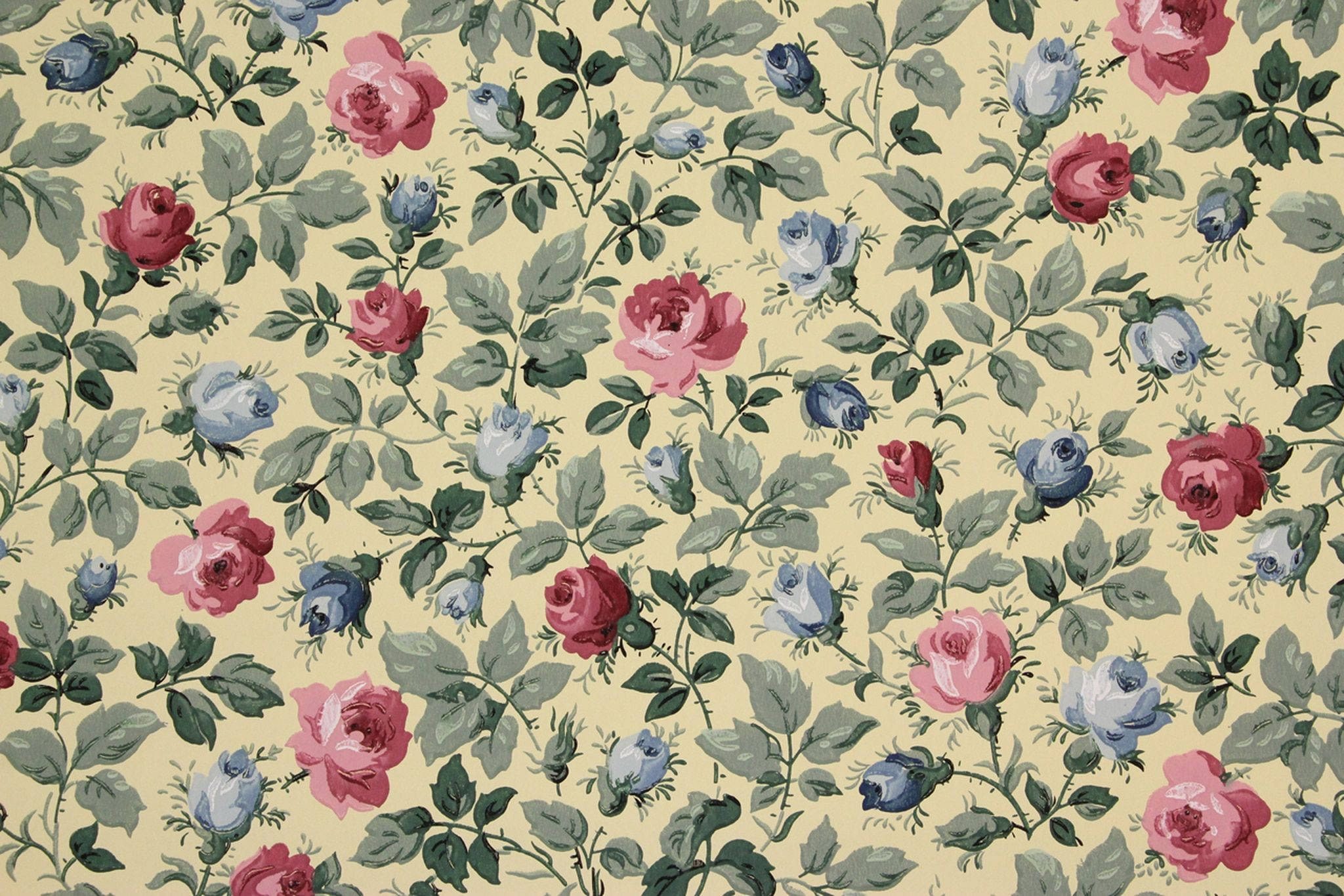Vintage Blouroos-estetika Muurpapier