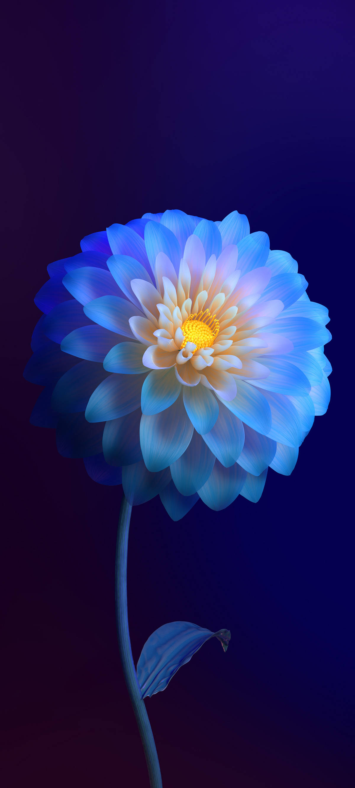 Vivo Y11 Verloopblom Muurpapier