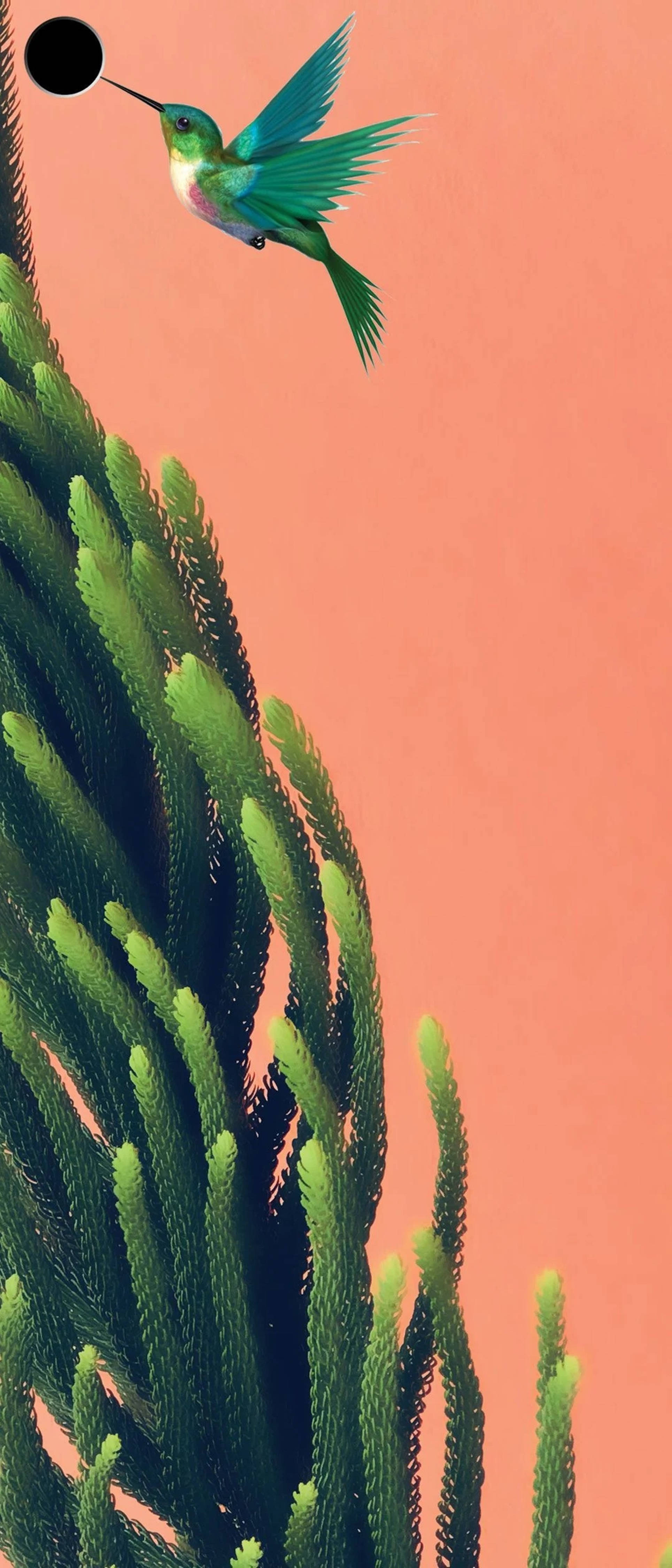 Voël en Plante Punch Hole 4K Muurpapier