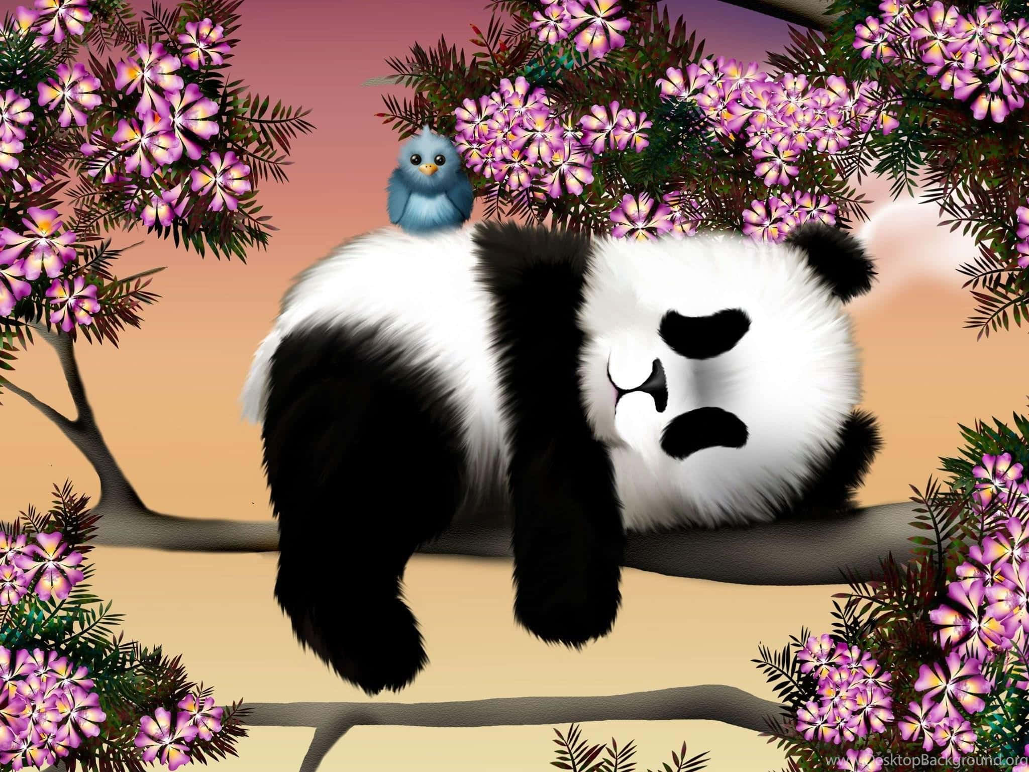 Voël op 'n Panda-skootrekenaar Muurpapier