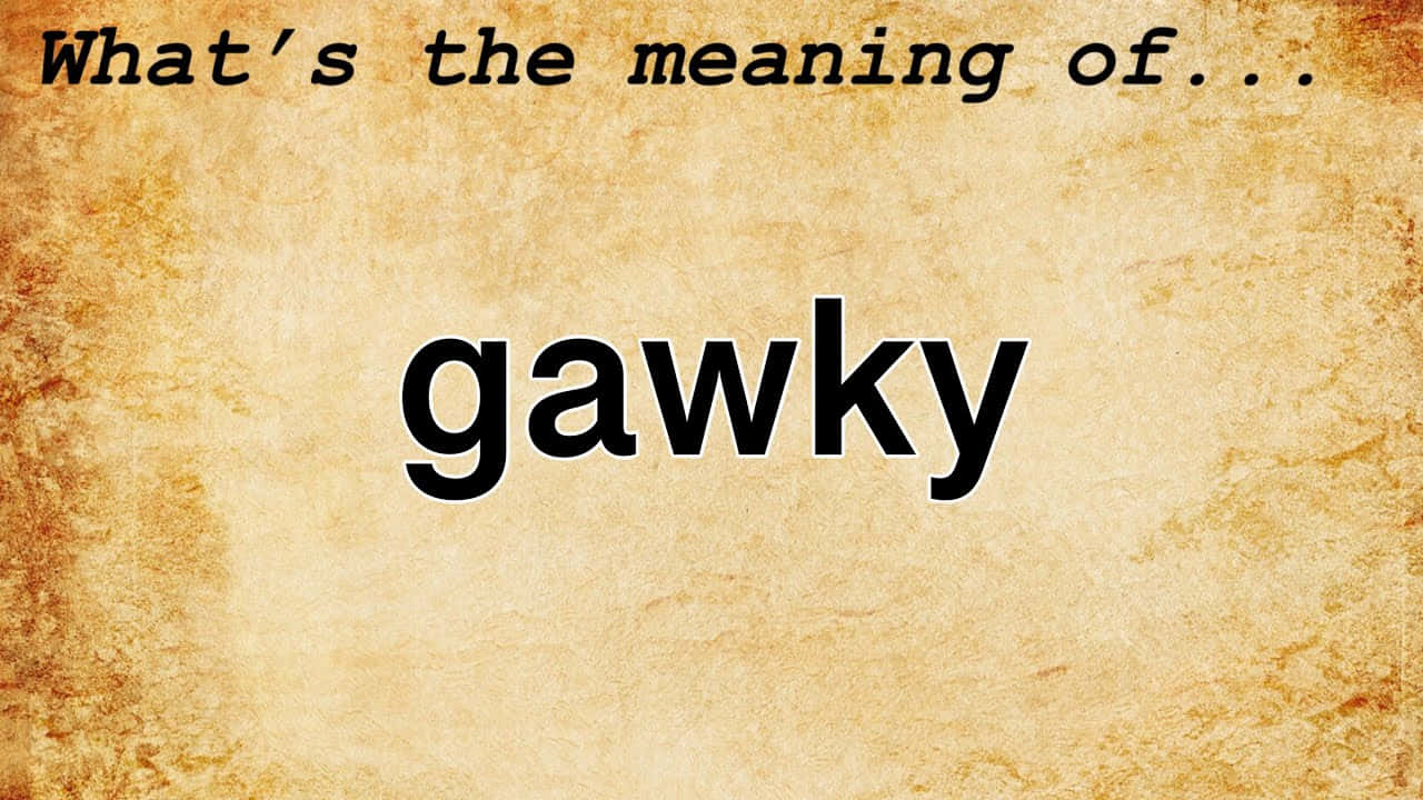 Vraag oor die betekenis van Gawky Muurpapier