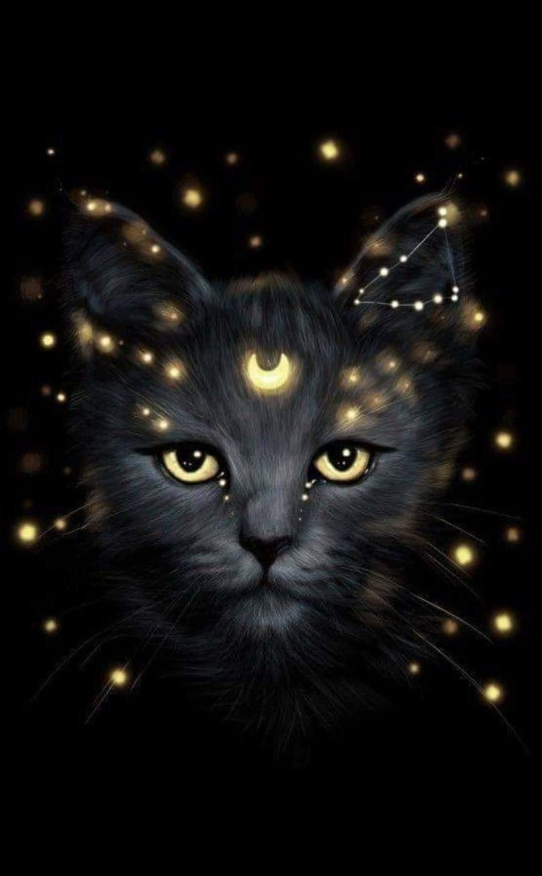 Waag Na die Heelal met Galaxy Kat Muurpapier