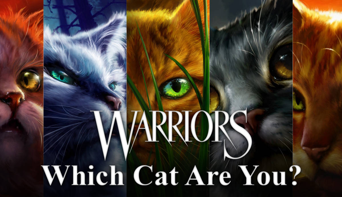 Warrior Cats Vasvraag Muurpapier