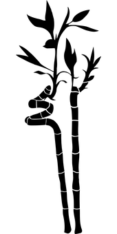Waterdruppel Swart Agtergrond.JPG Muurpapier