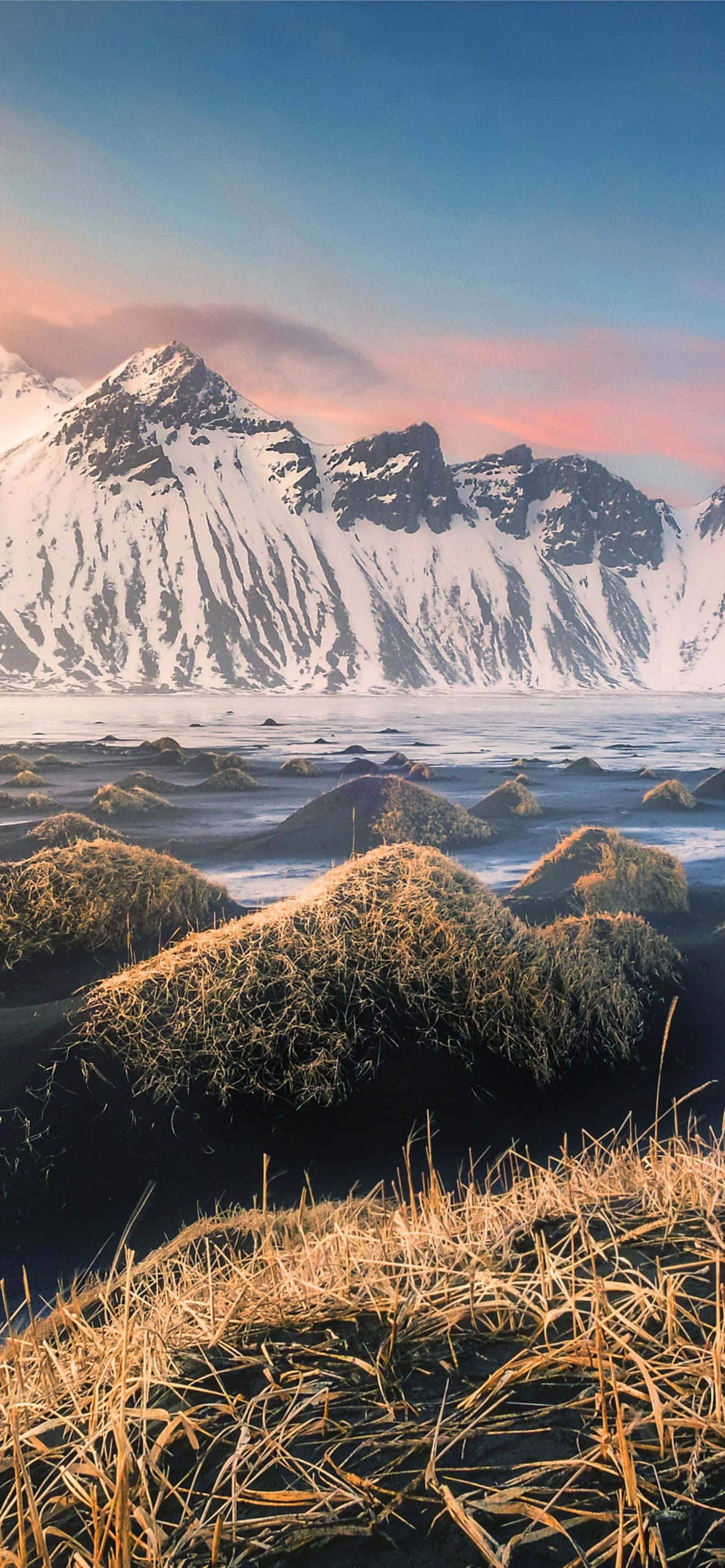 Welige en groen, die natuur se geskenk van skoonheid in blom Muurpapier